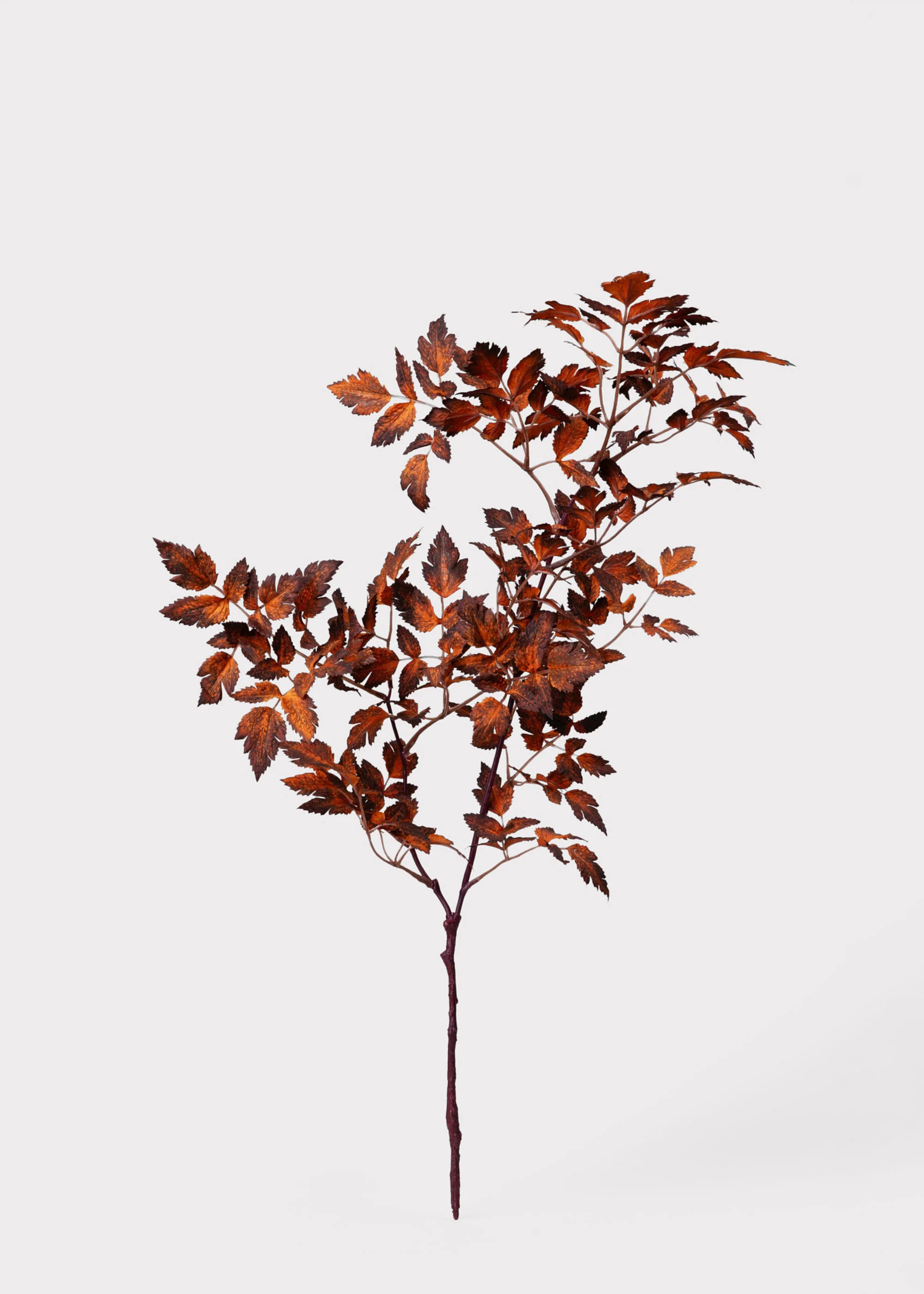 Afloral™ Faux Cimicifuga Leaf Spray in Brown - 31" - Image 4