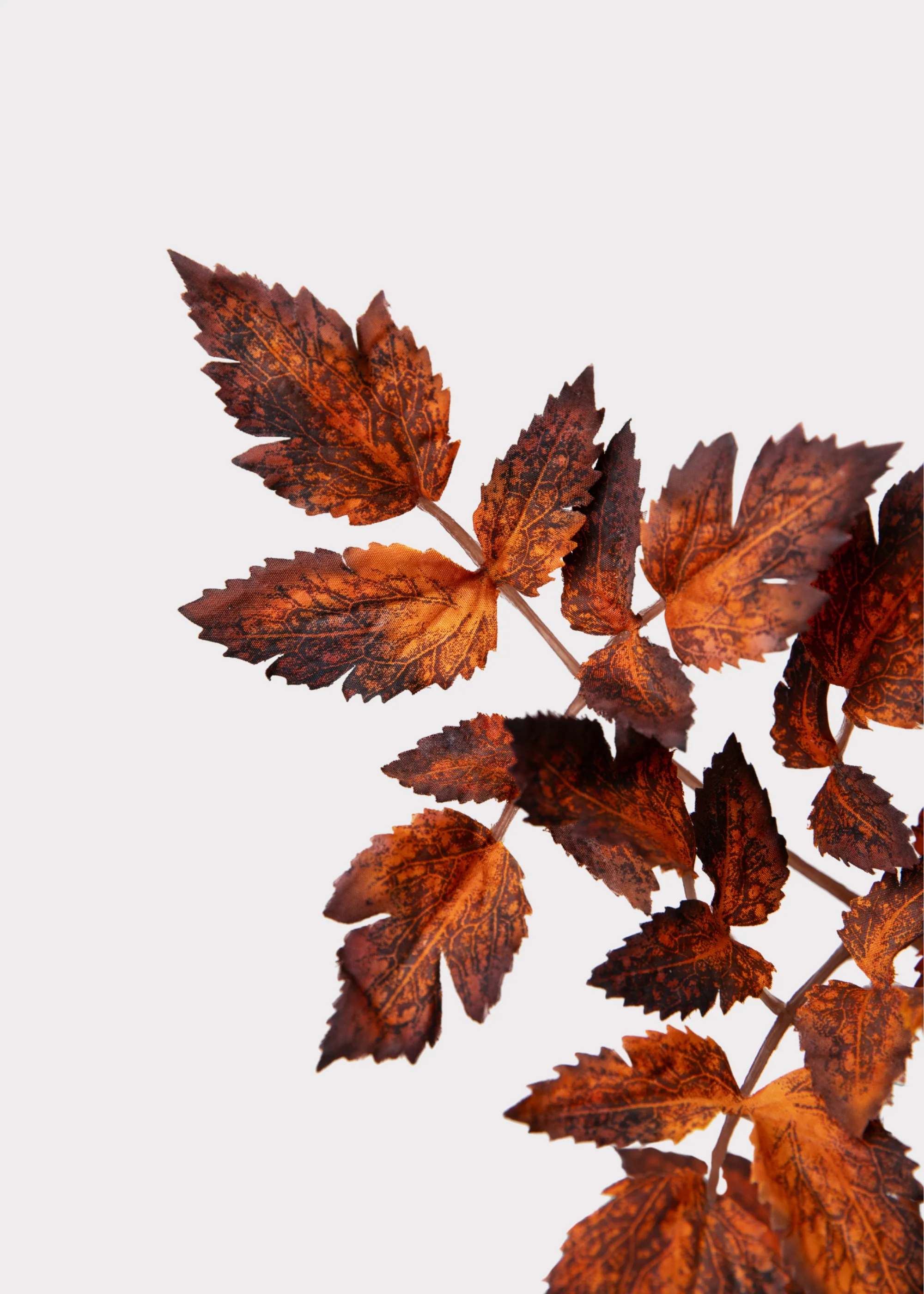 Afloral™ Faux Cimicifuga Leaf Spray in Brown - 31" - Image 5