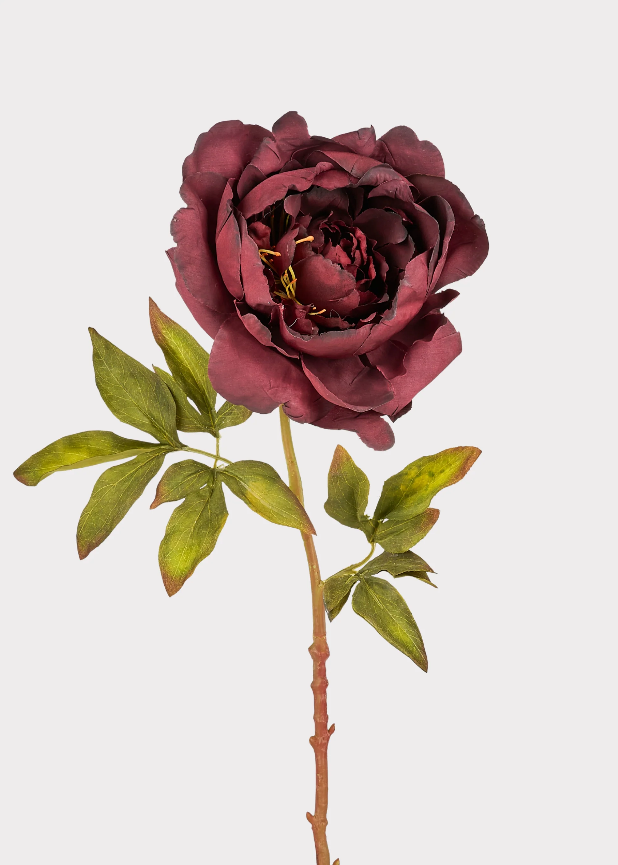 Smokey Plum Purple Fake Peony Flower - 24"