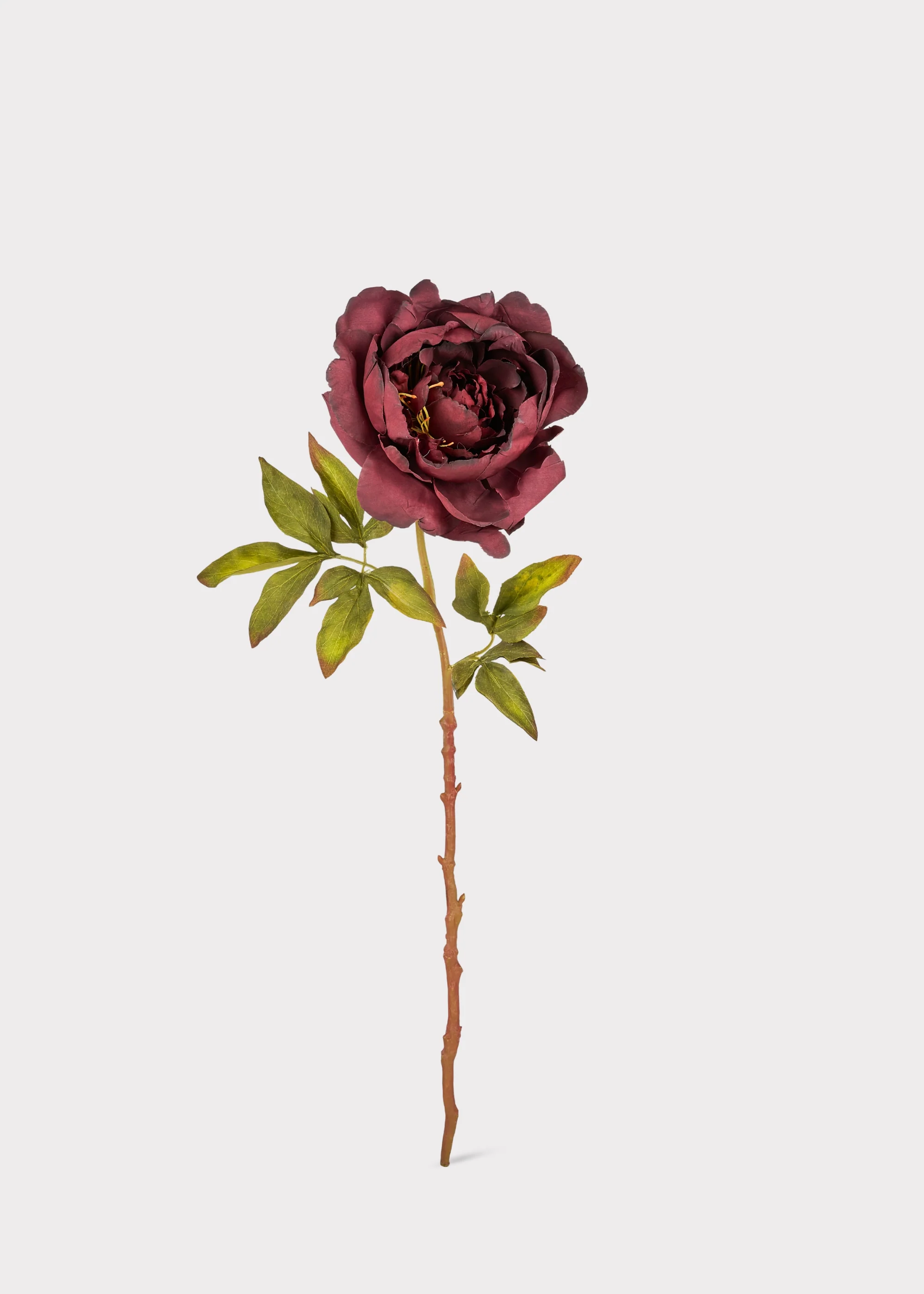 Smokey Plum Purple Fake Peony Flower - 24" - Image 3