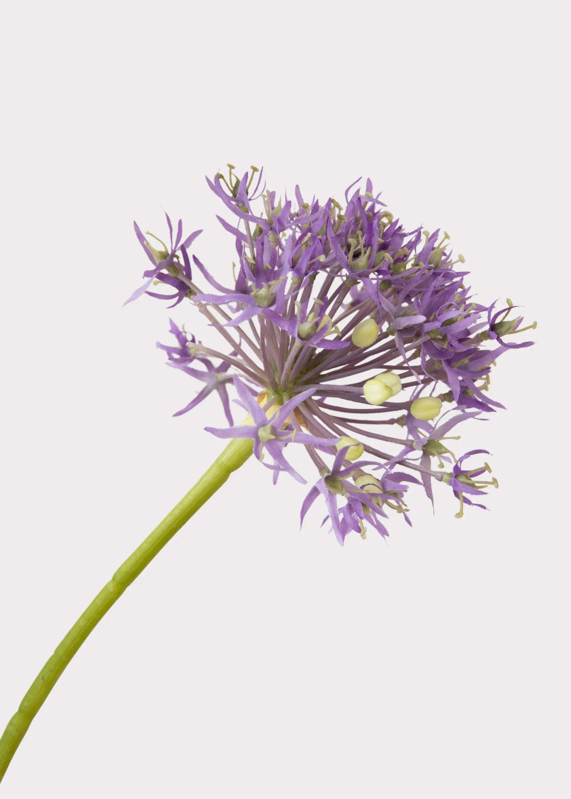 Artificial Allium Wildflower Bundle in Lavender - 30" - Image 3