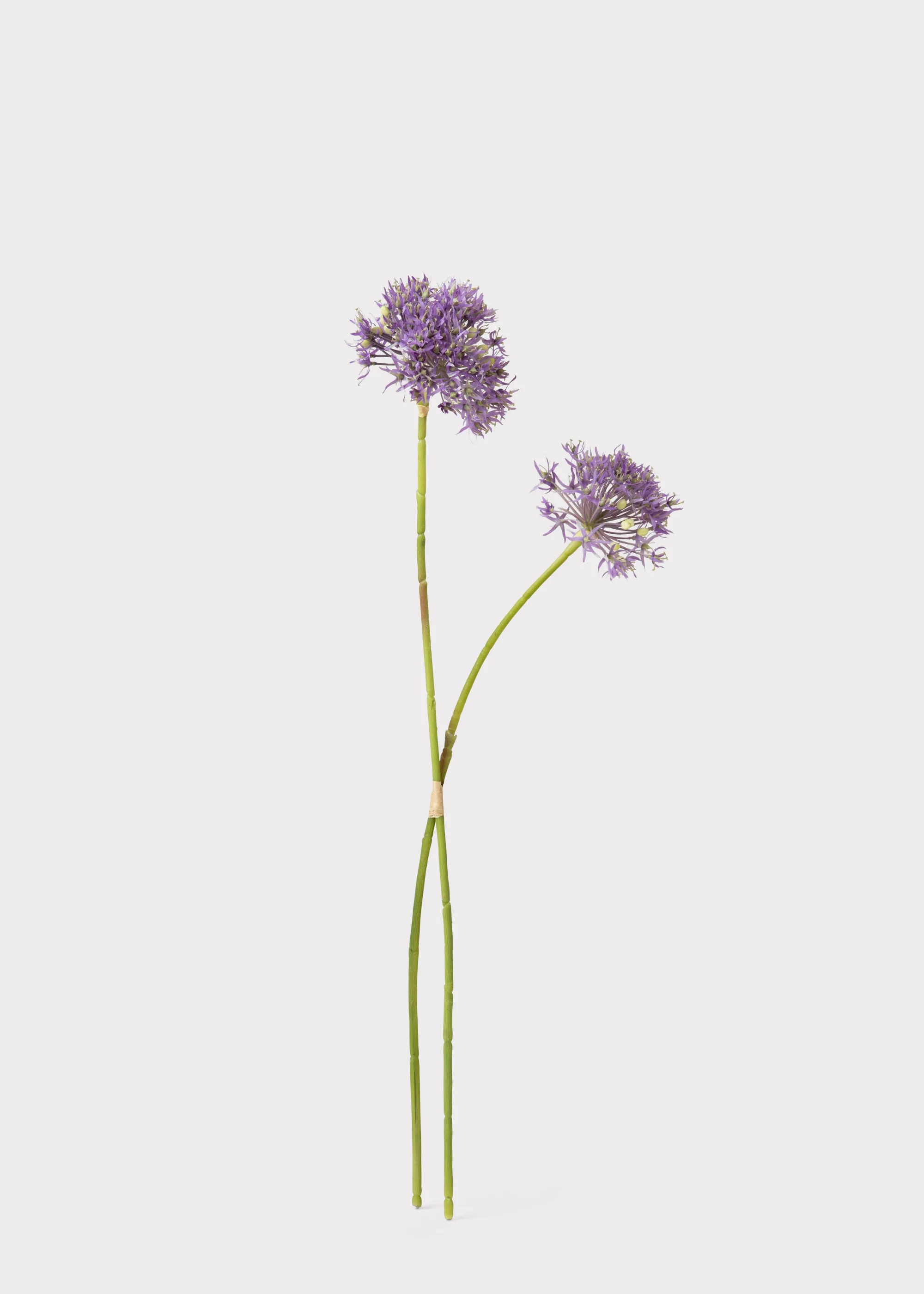 Artificial Allium Wildflower Bundle in Lavender - 30" - Image 5