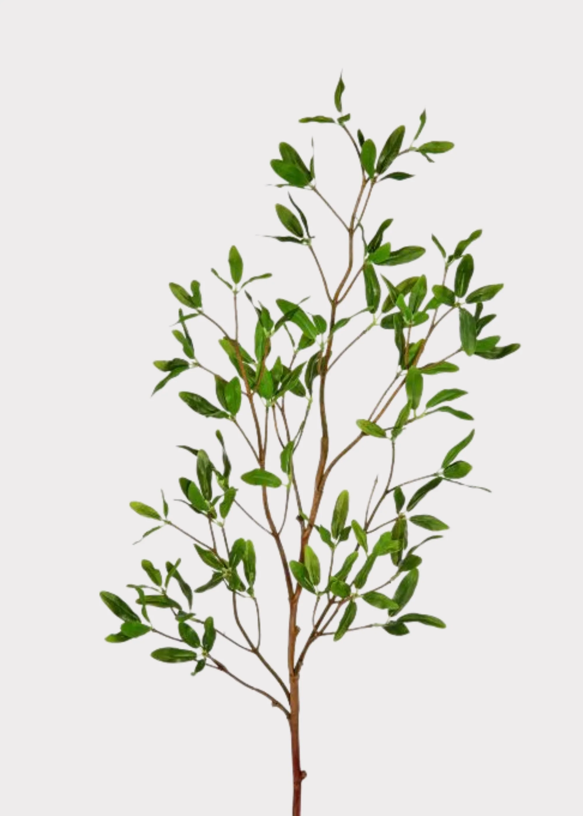 Artificial Asian Privet Leaf Branch - 33"