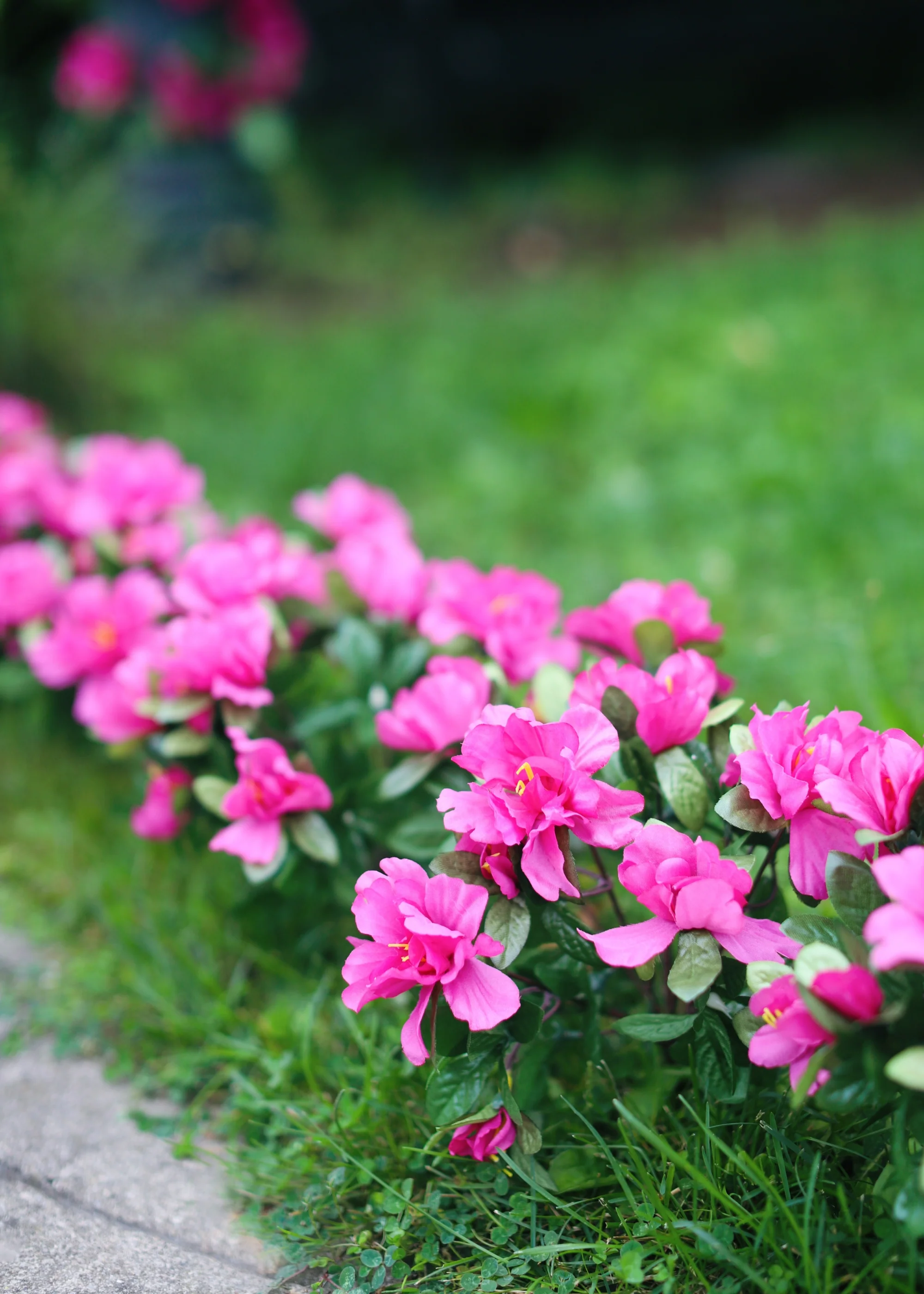 Artificial Azalea Flower Bush in Fuchsia - 13" - Image 3