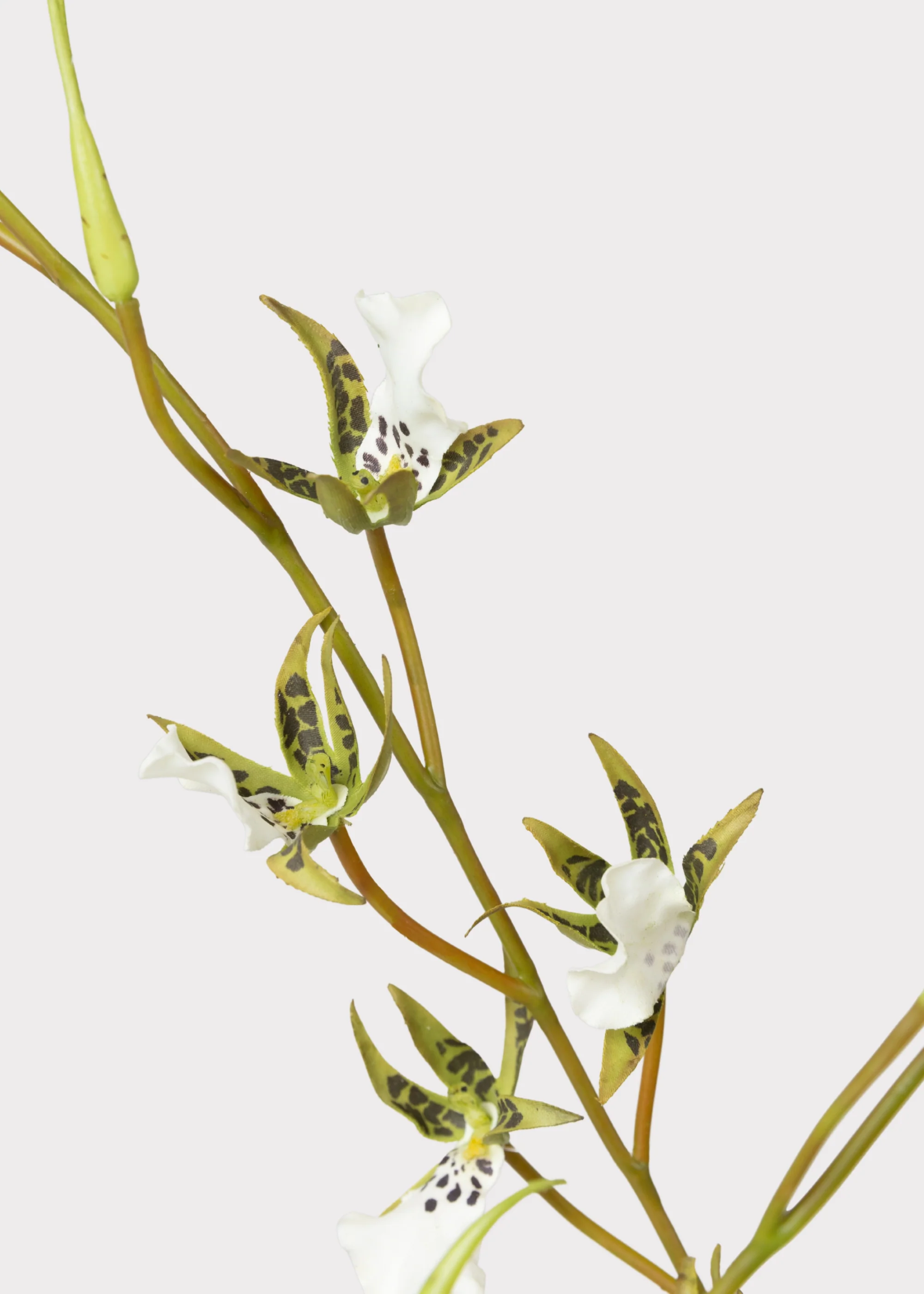 Tall Artificial Blooming Brassia Orchid Plant - 52" - Image 3