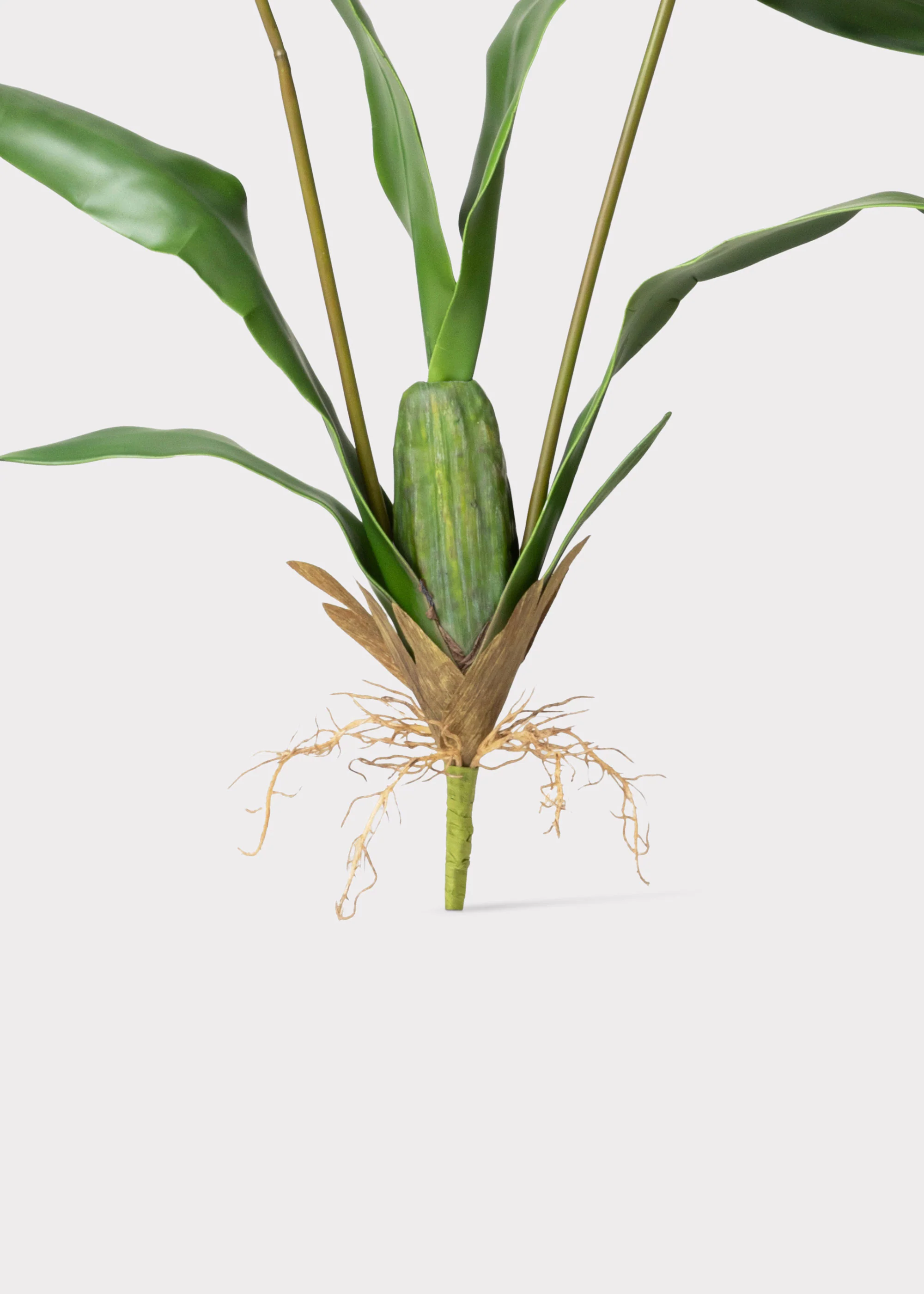 Tall Artificial Blooming Brassia Orchid Plant - 52" - Image 5