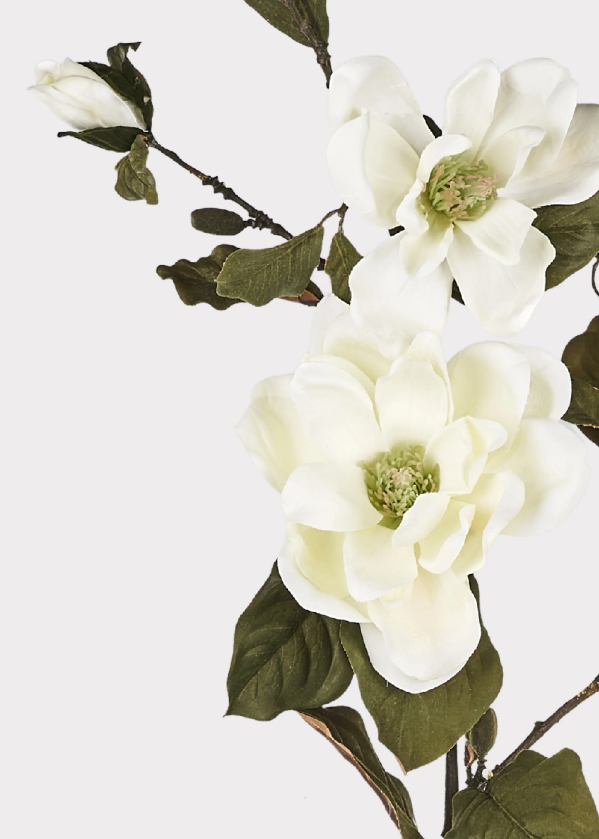 Artificial Blooming Magnolia Branch in Cream - 38" - Image 4