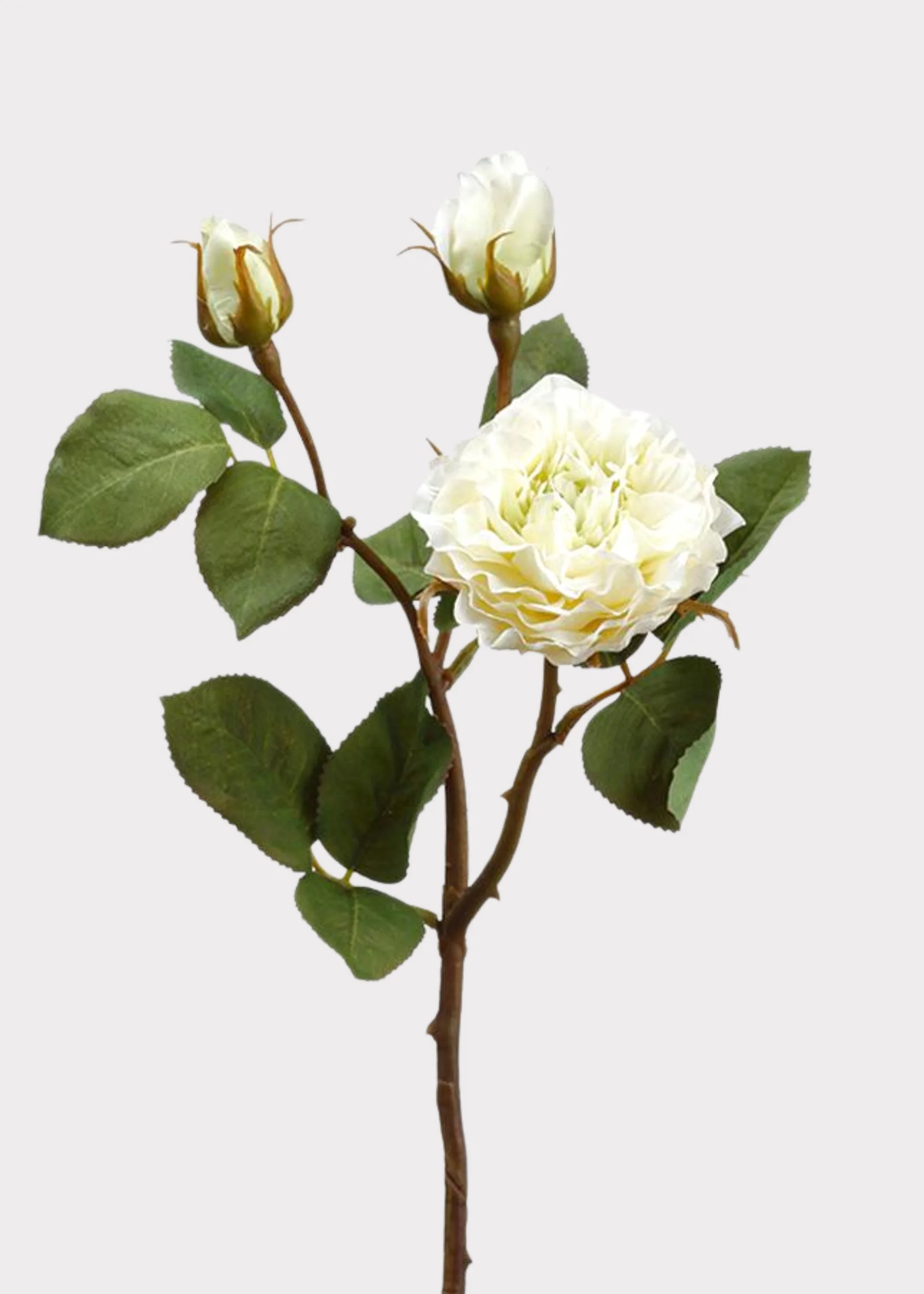 Artificial Blooming Rose Spray in Cream - 18.75"