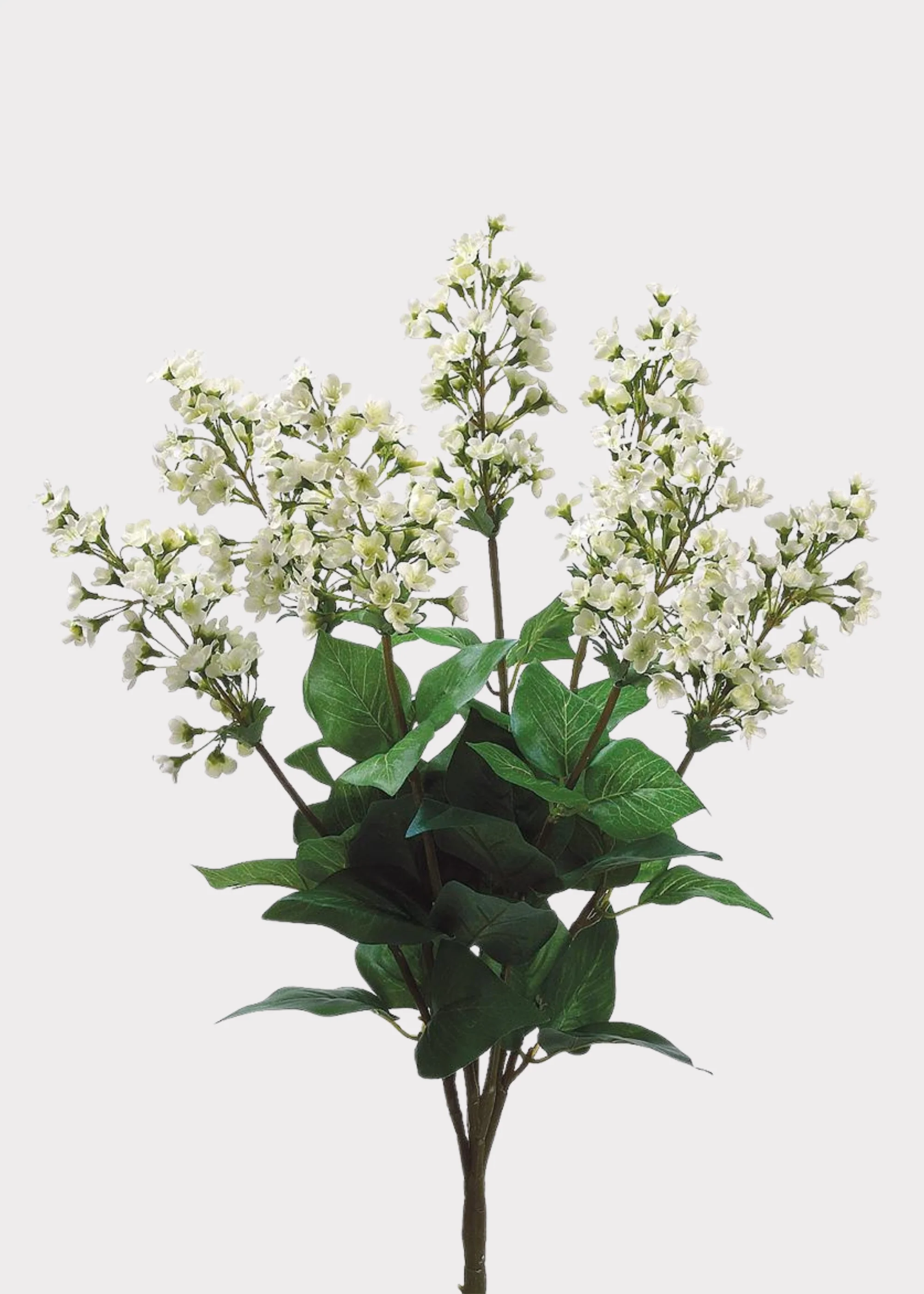Artificial Bouvardia Flower Bush in Cream - 23"