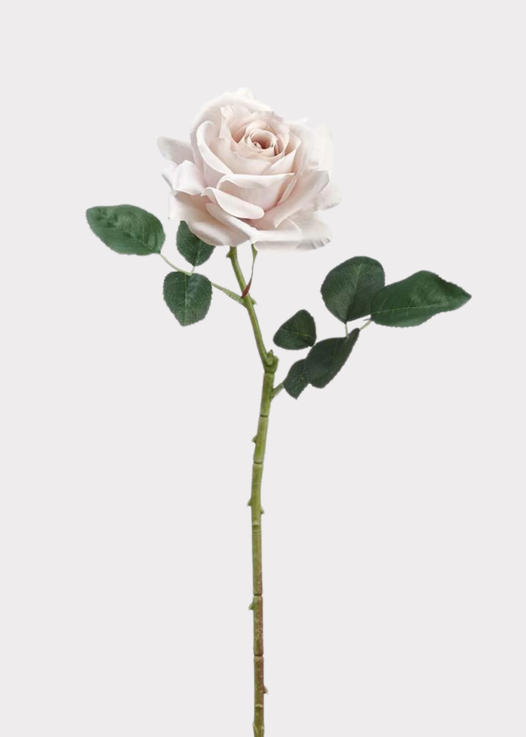 Artificial Curly Rose Stem in Taupe - 24.25"