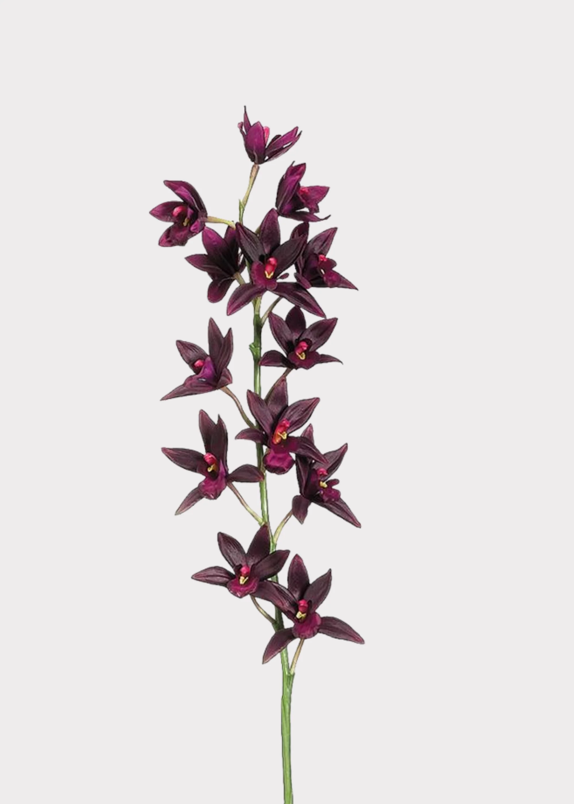 Artificial Cymbidium Orchid in Plum - 38"