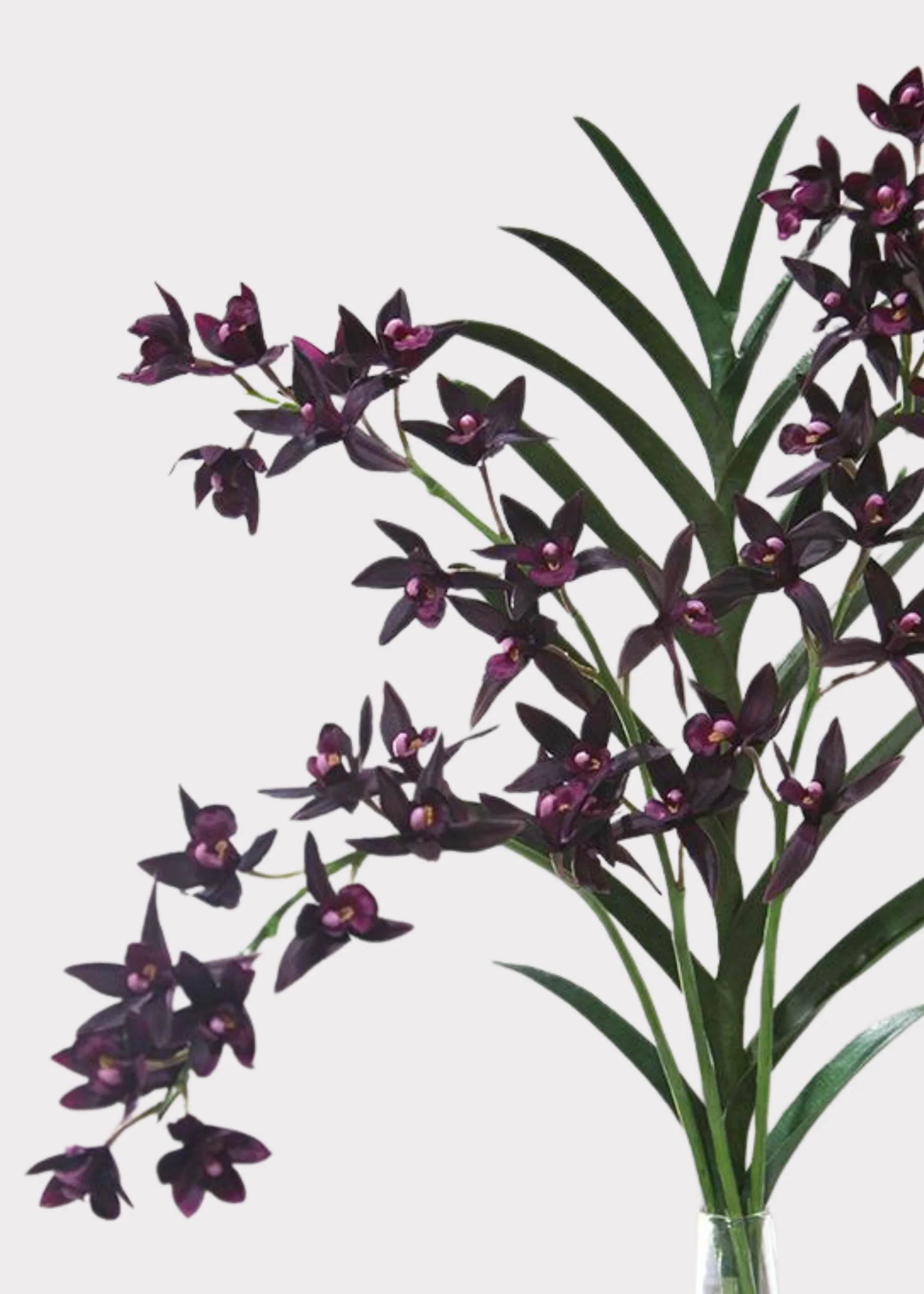 Artificial Cymbidium Orchid in Plum - 38" - Image 2