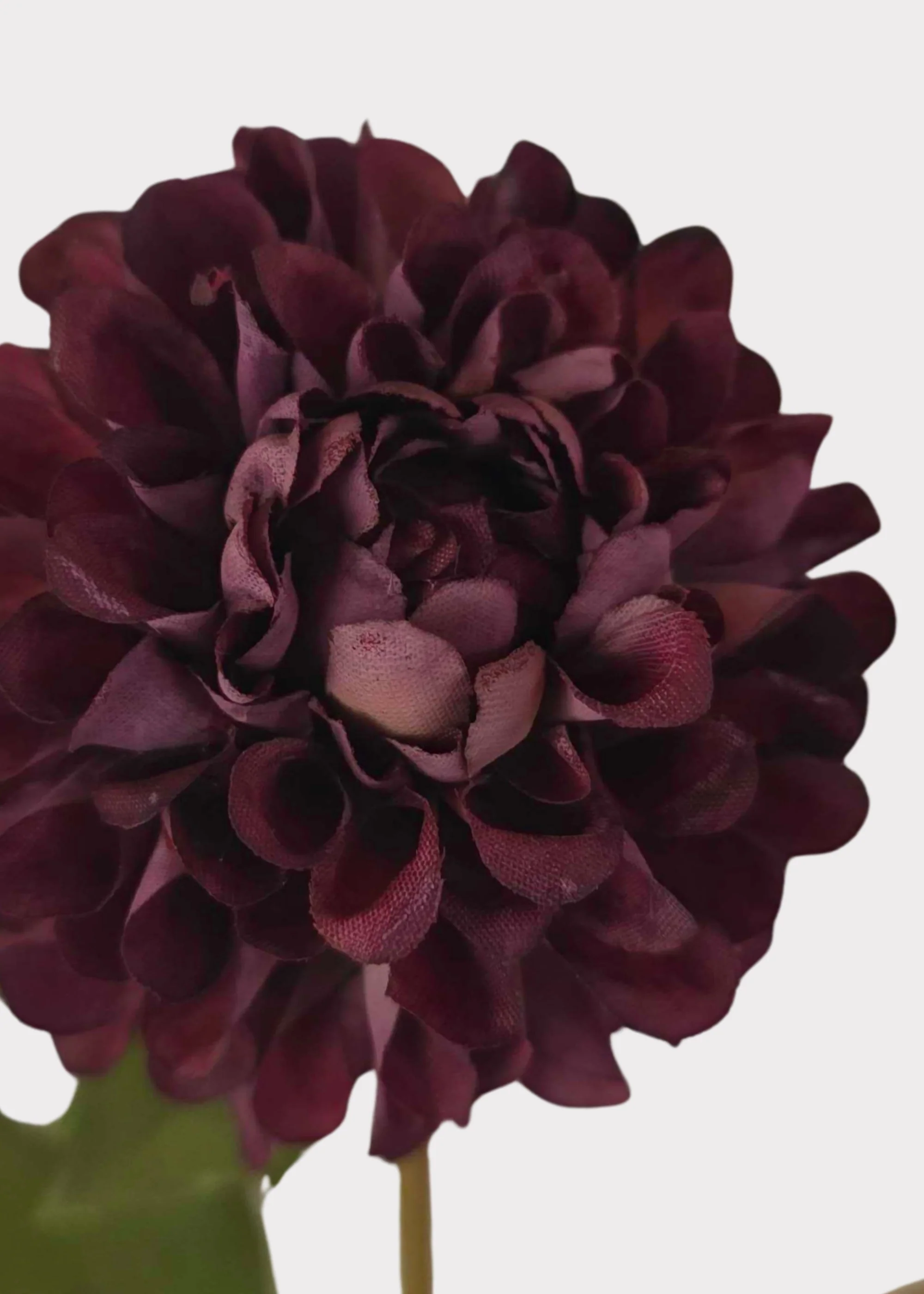 Artificial Dahlia Flower in Burgundy - 20" - Image 2