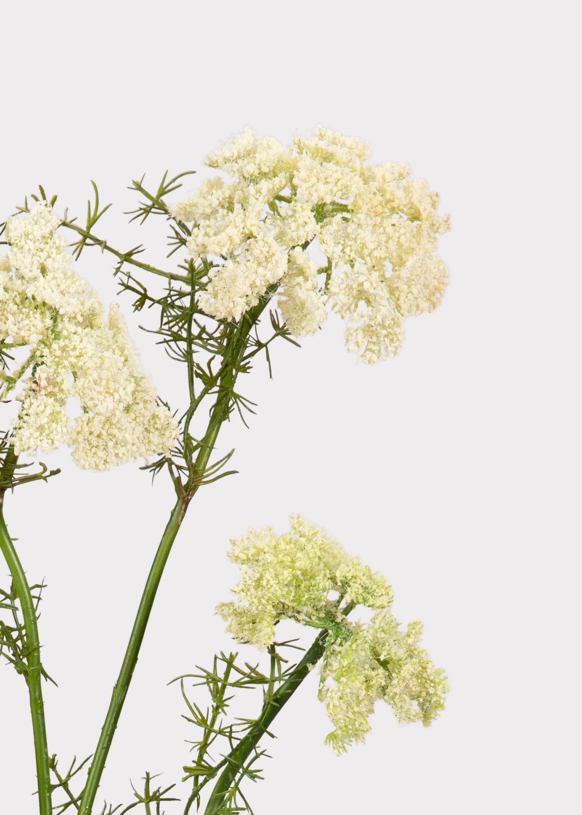Artificial Dill Wildflower Branch - 33" - Image 5