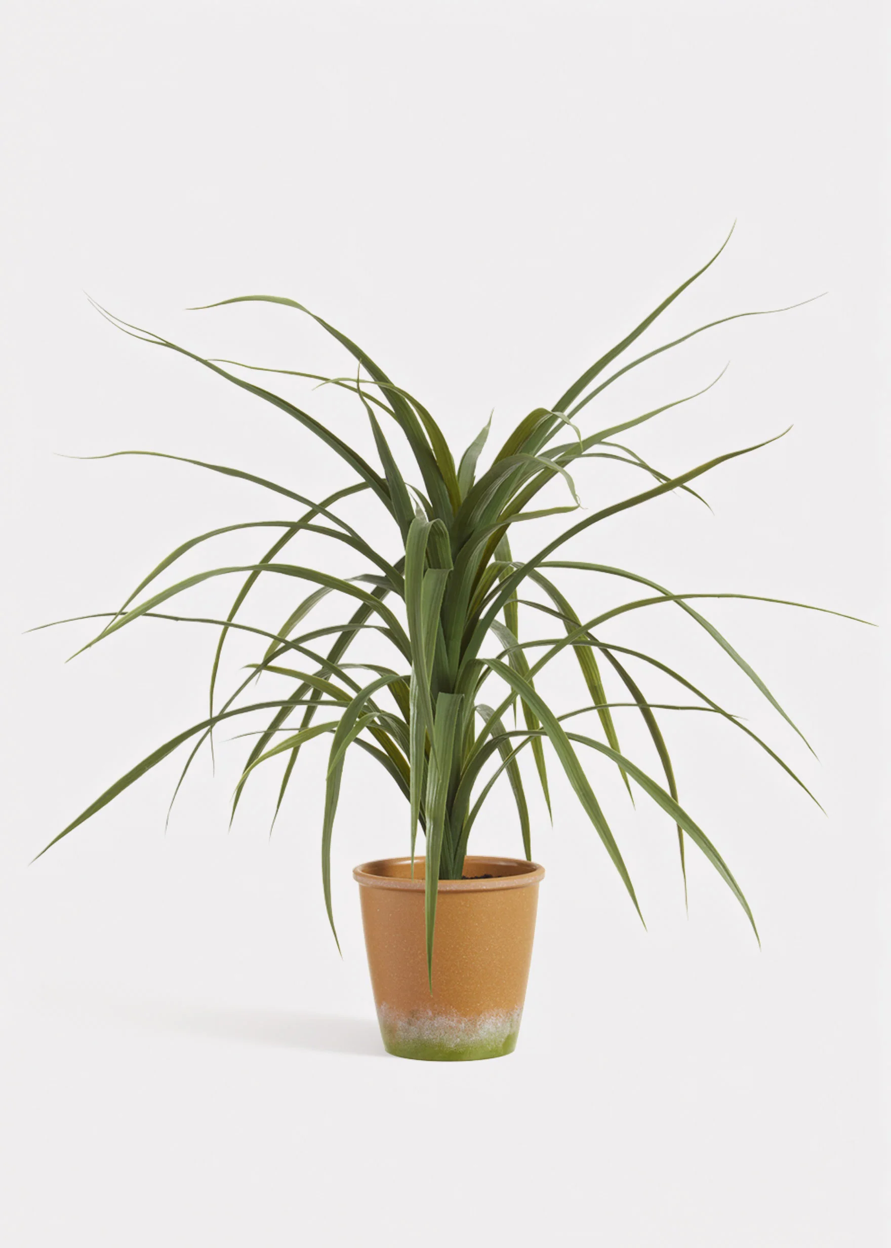 Artificial Dracaena Succulent Plant in Pot - 25.5"