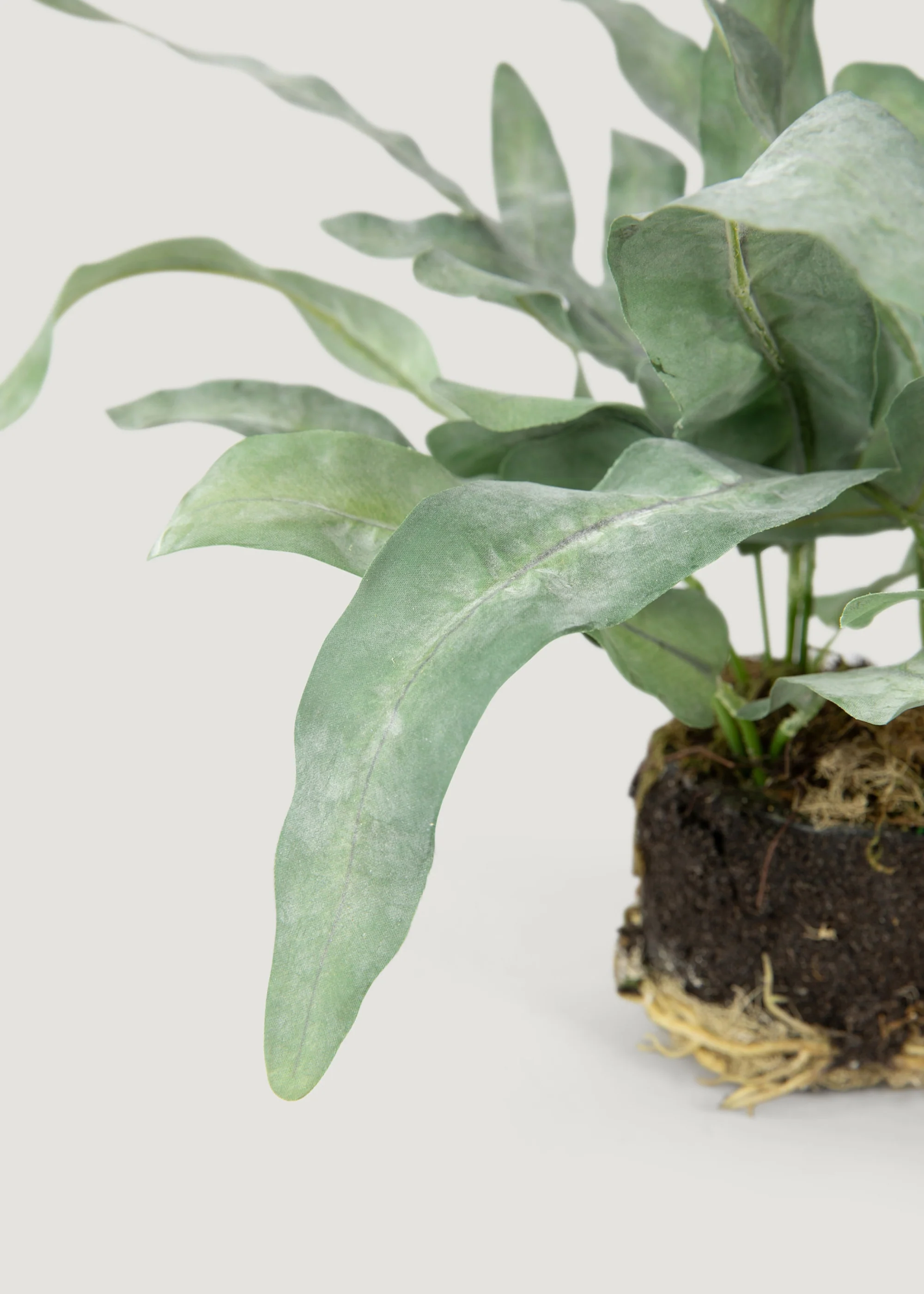 Artificial Echeveria Fern Drop-In Plant - 8.5" - Image 3