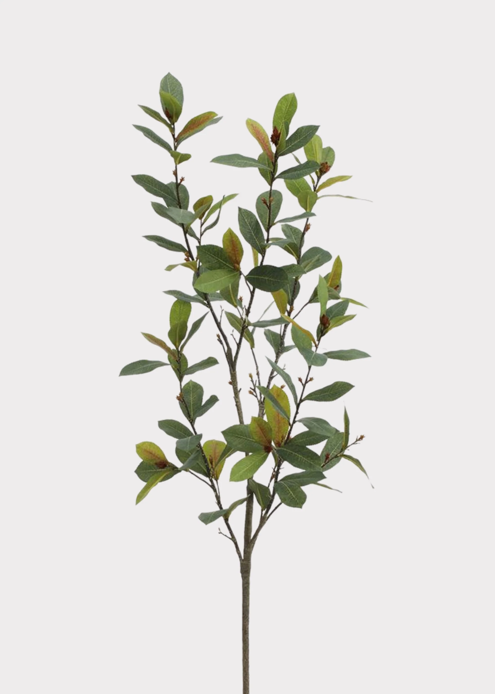 Artificial Laurel Leaf Branch - 44"
