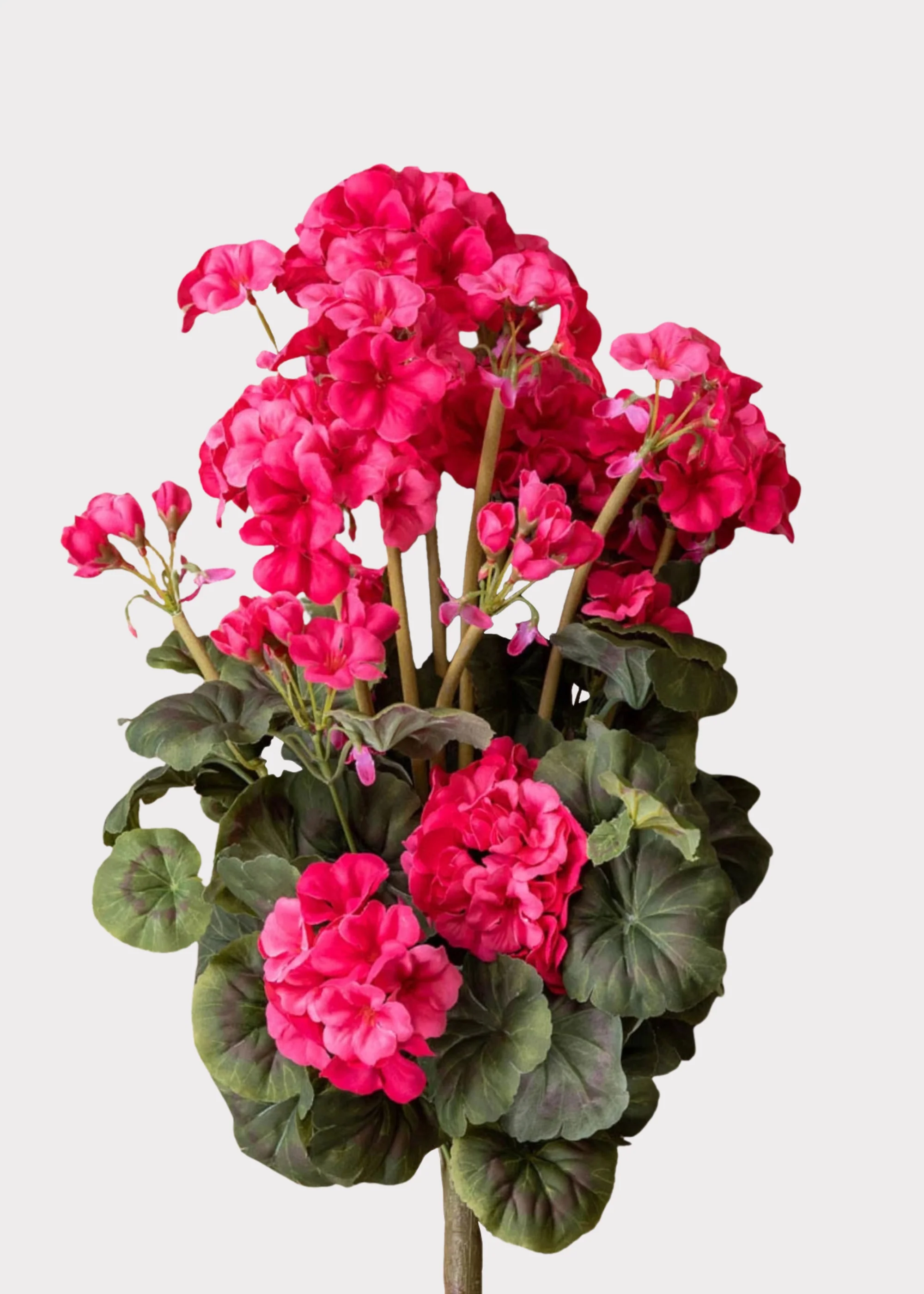 Artificial Geranium Flower Bush in Dark Pink - 19.5" - Image 5