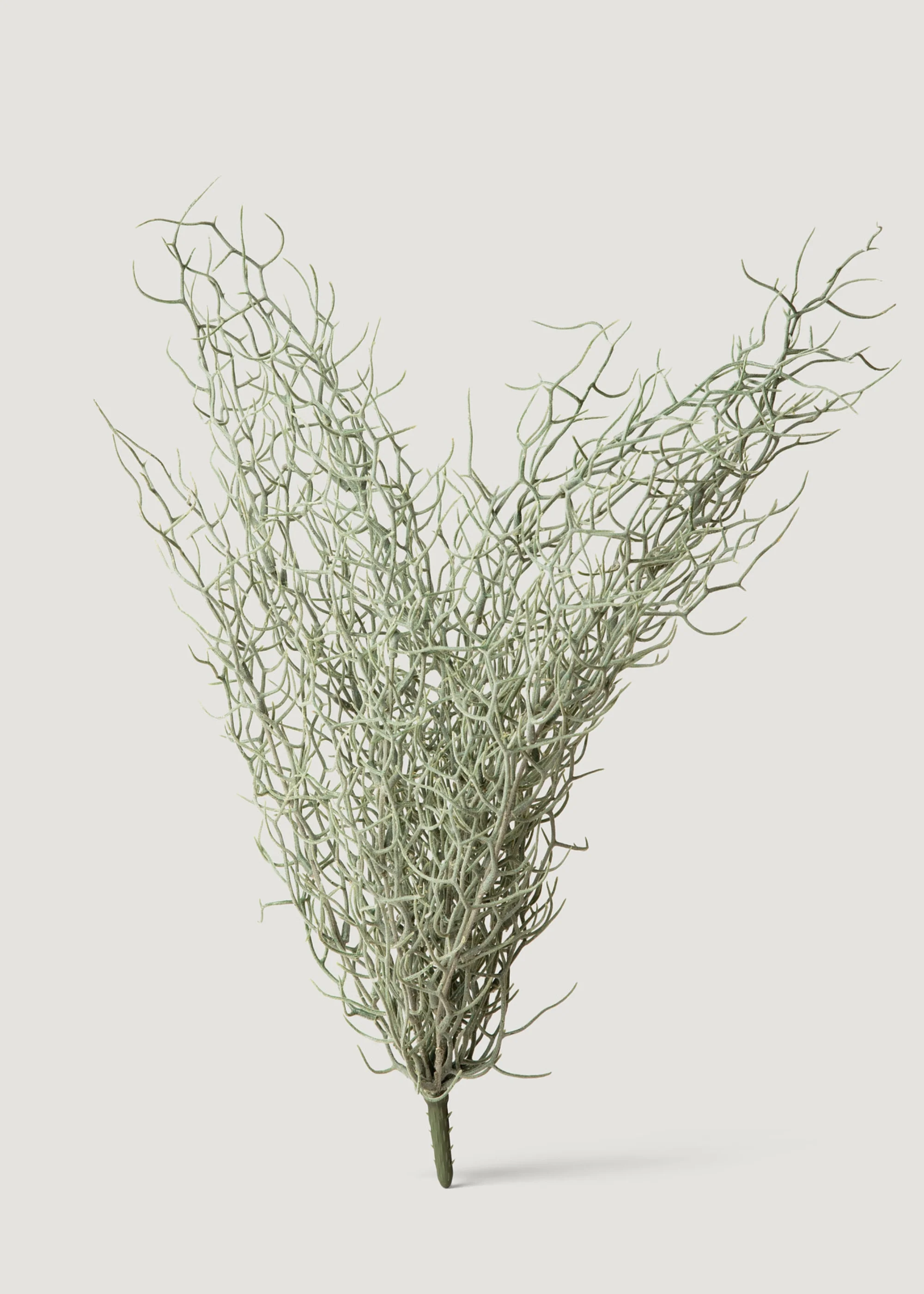 Abigail Ahern Artificial Grass Bush - 26"