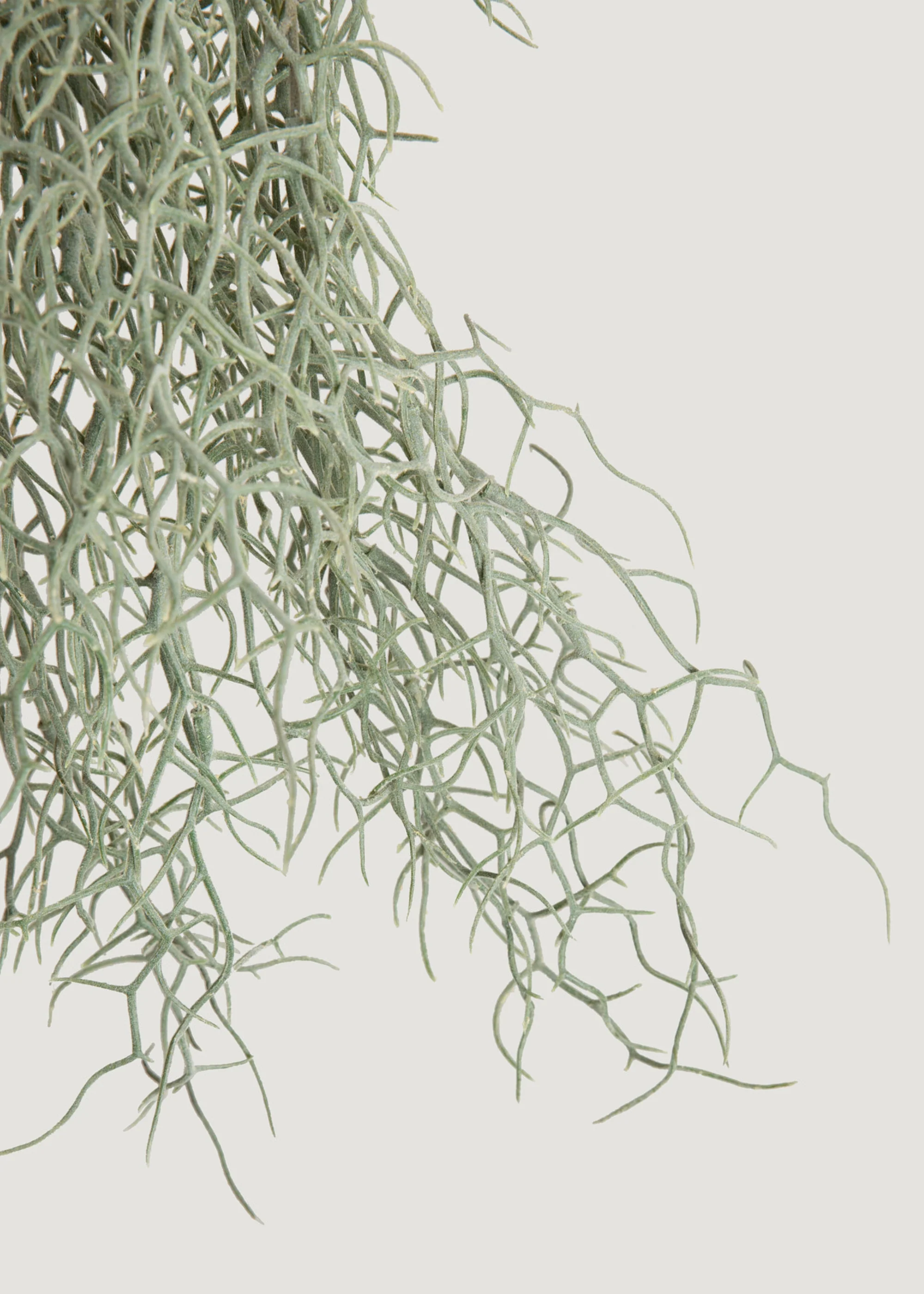 Abigail Ahern Artificial Grass Bush - 26" - Image 3