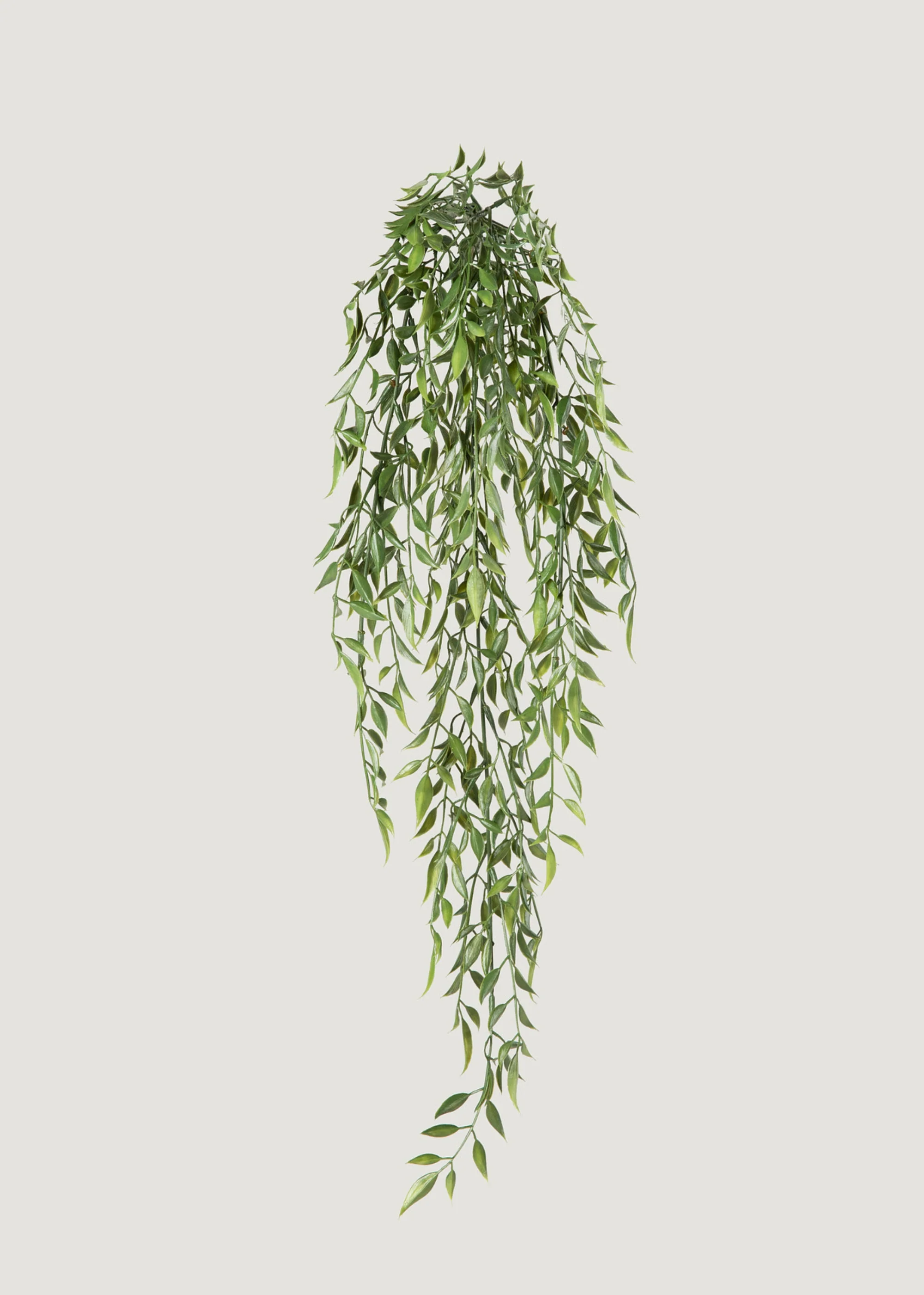 Artificial Hanging Ruscus Branch - 24" - Image 2