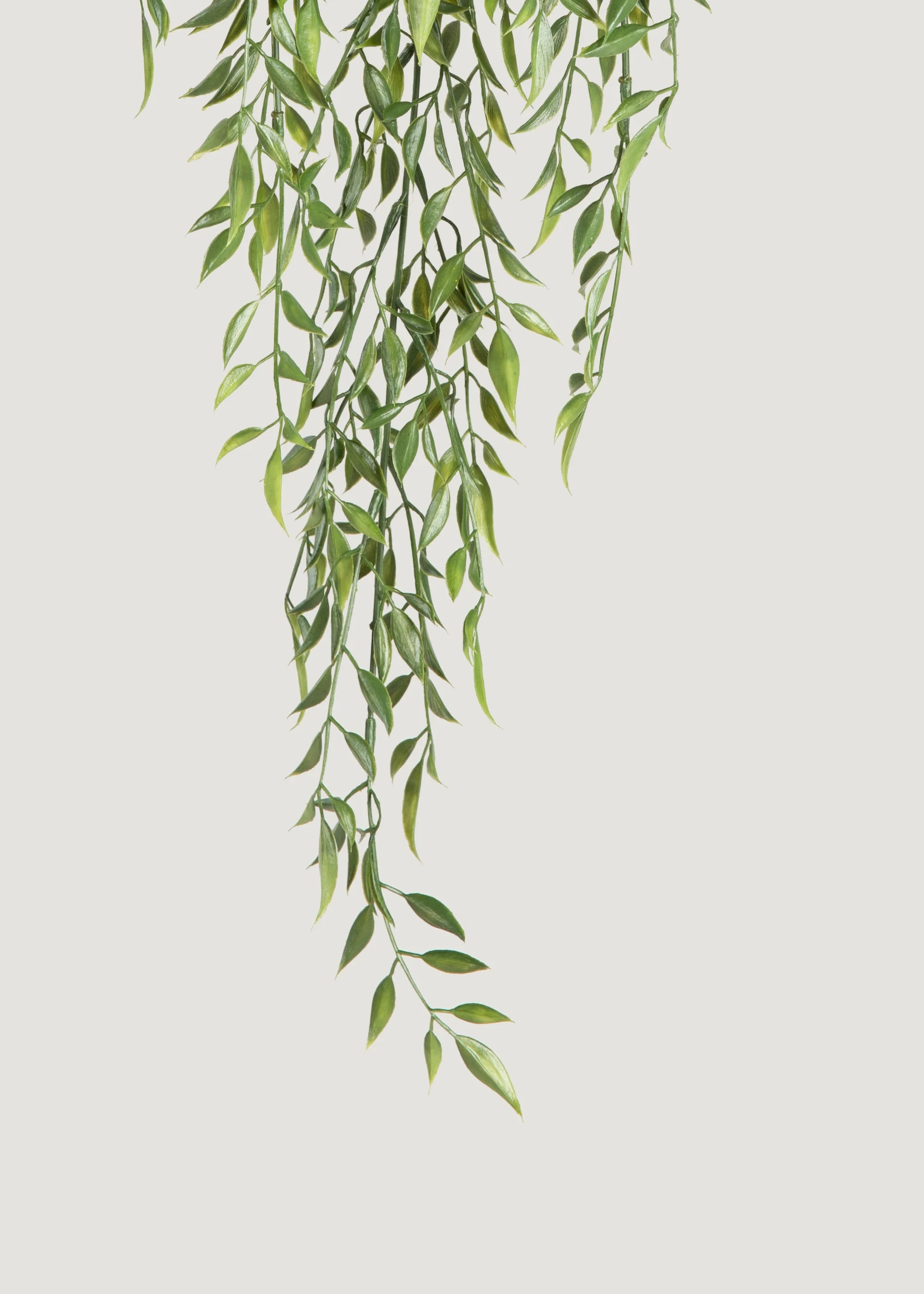 Artificial Hanging Ruscus Branch - 24" - Image 5