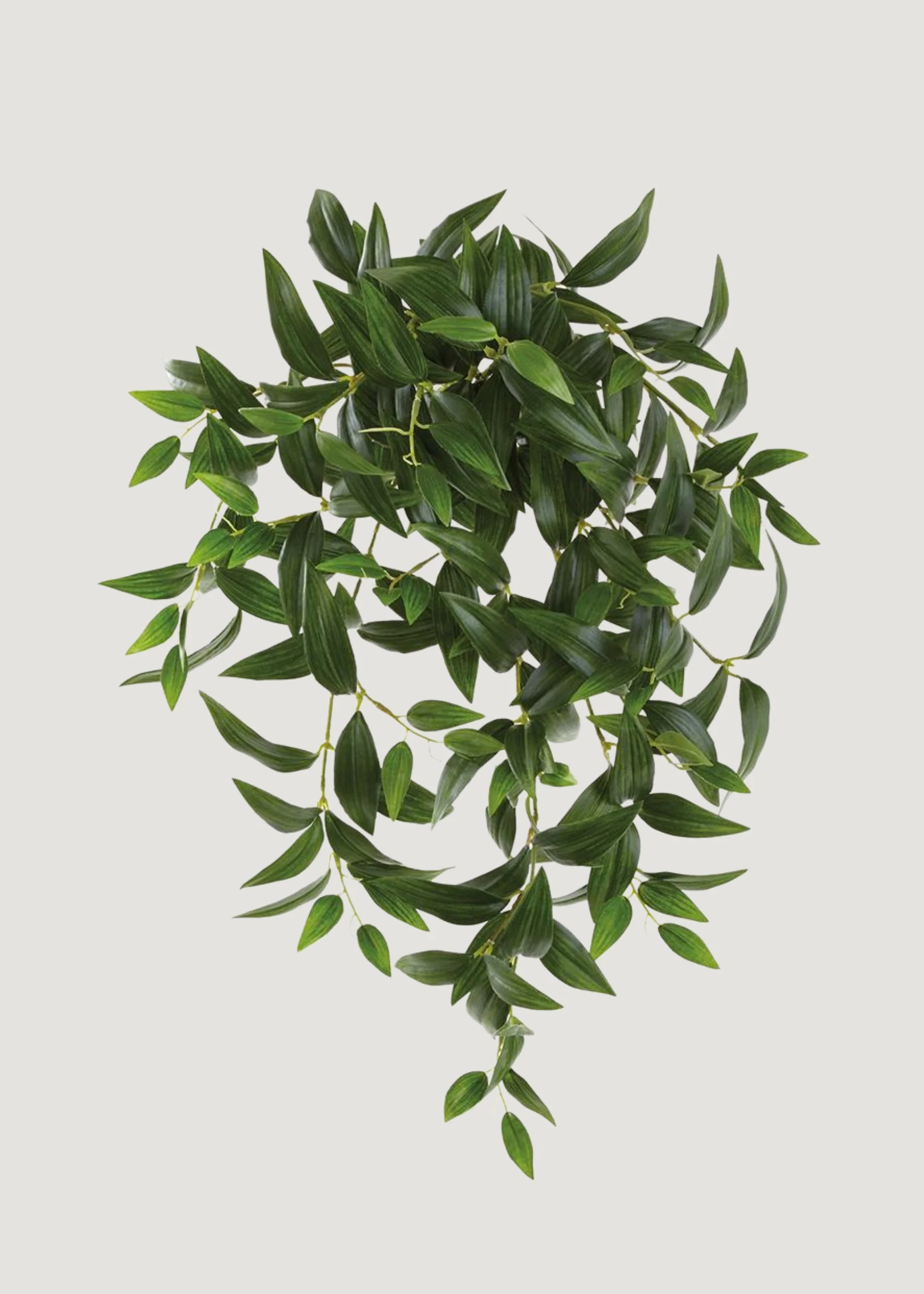 Artificial Hanging Ruscus Leaf Bush - 22" - Image 2