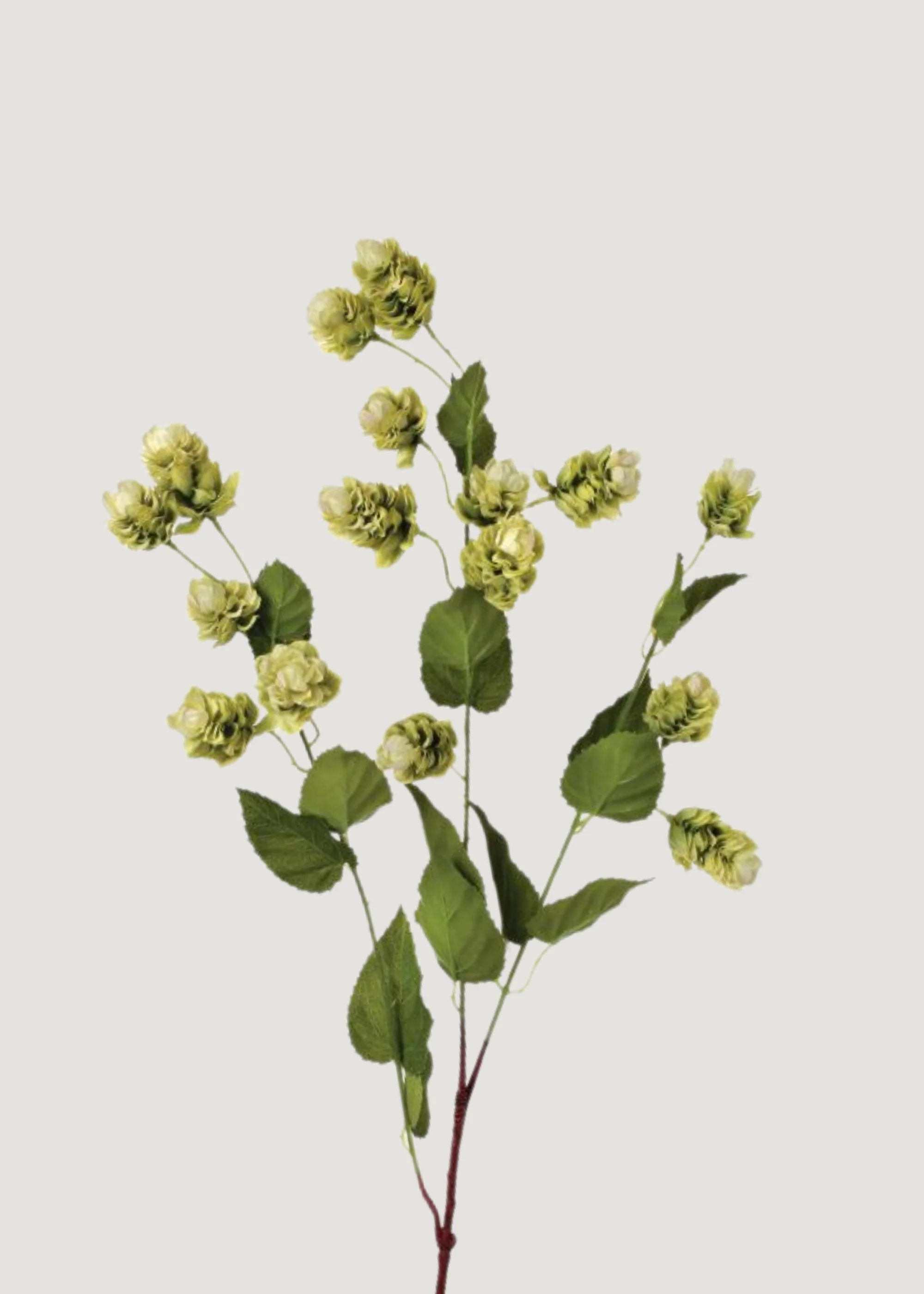 Artificial Hops Greenery Branch - 39"