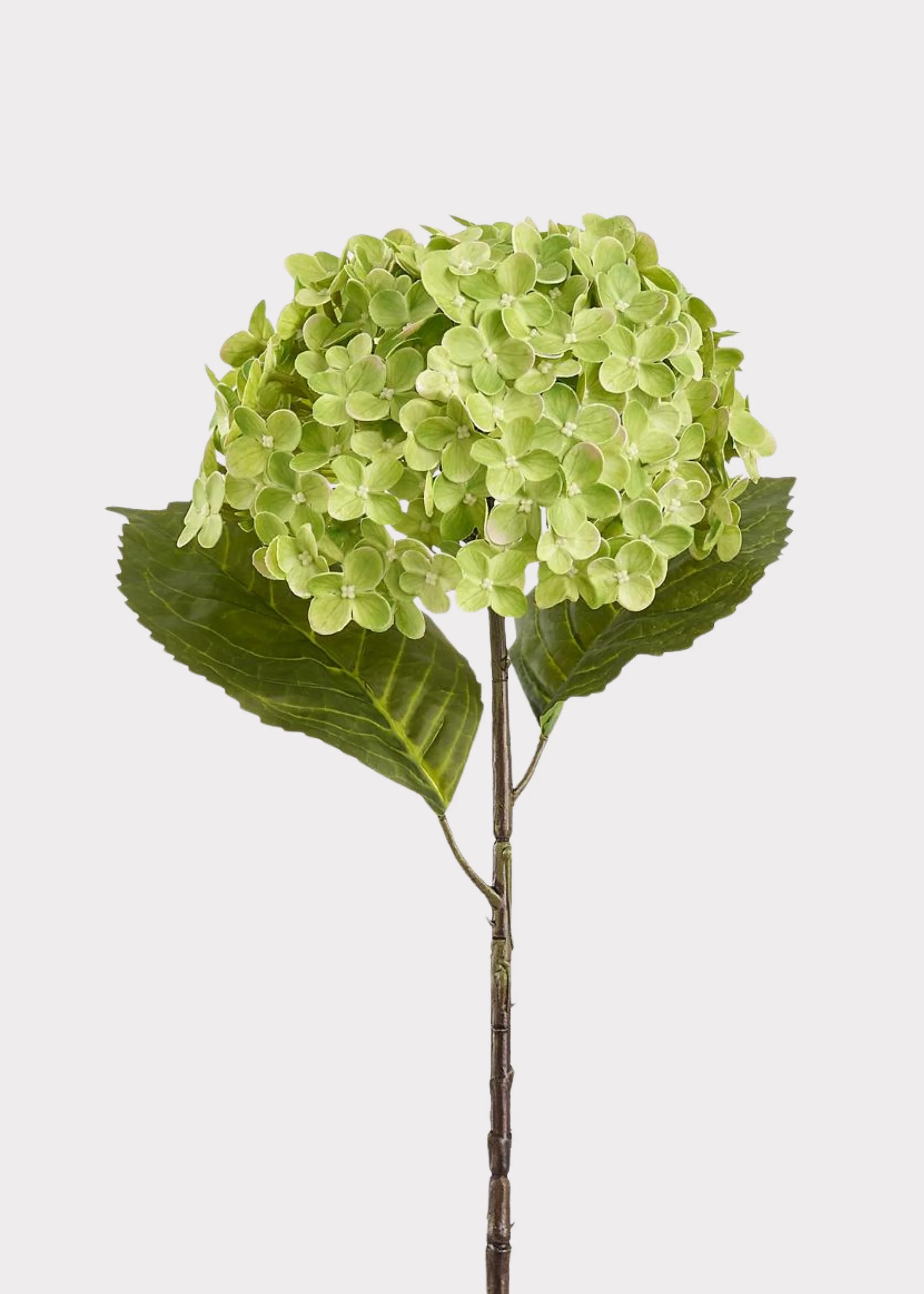 Artificial Hydrangea Flower in Green - 24.5"