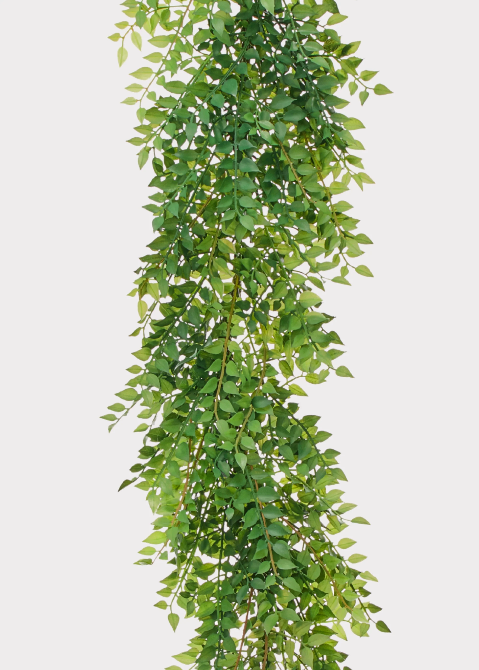 Artificial Italian Ruscus Leaf Garland - 48" - Image 2