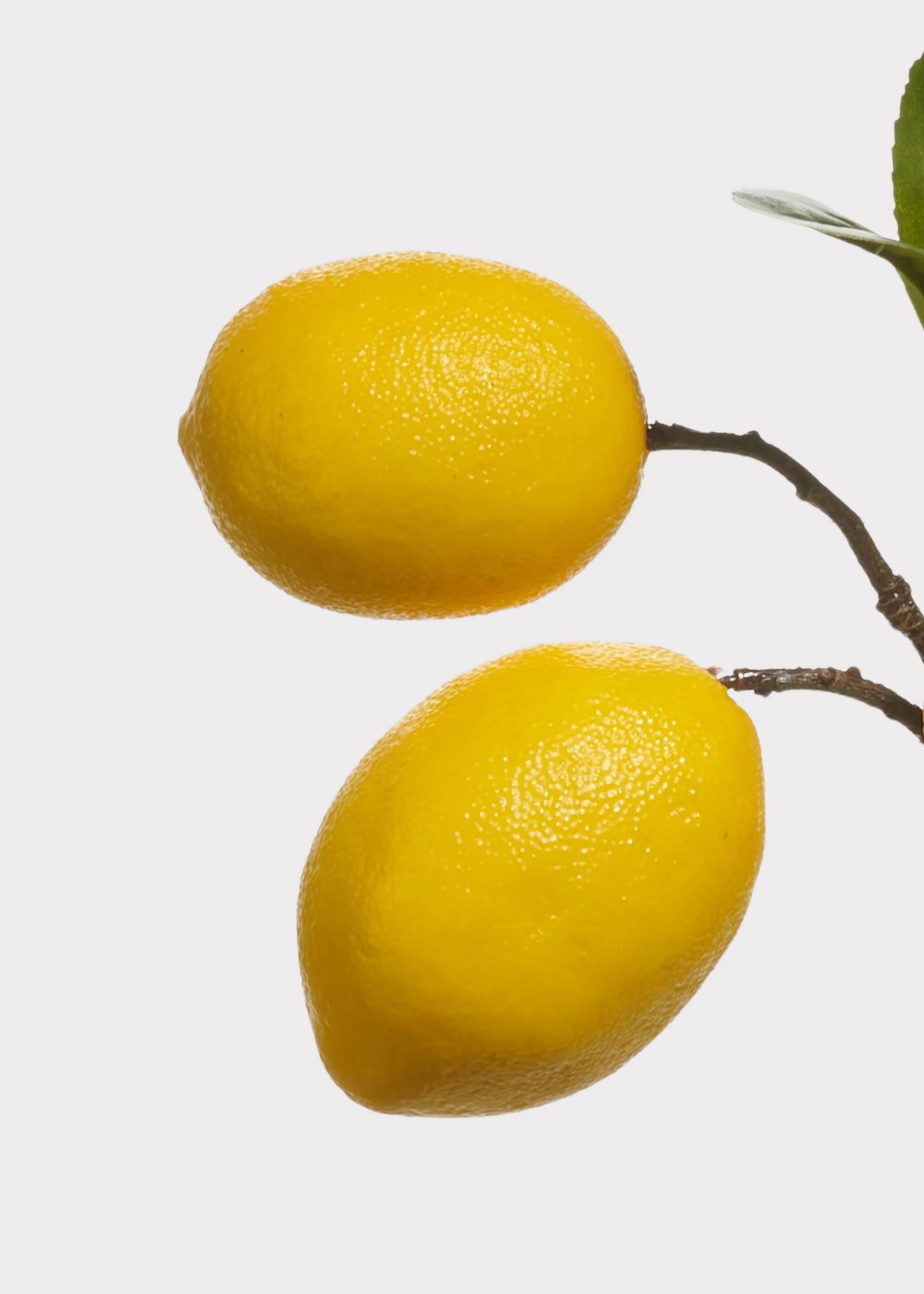 Artificial Lemon Fruit Spray in Yellow - 20" - Image 2