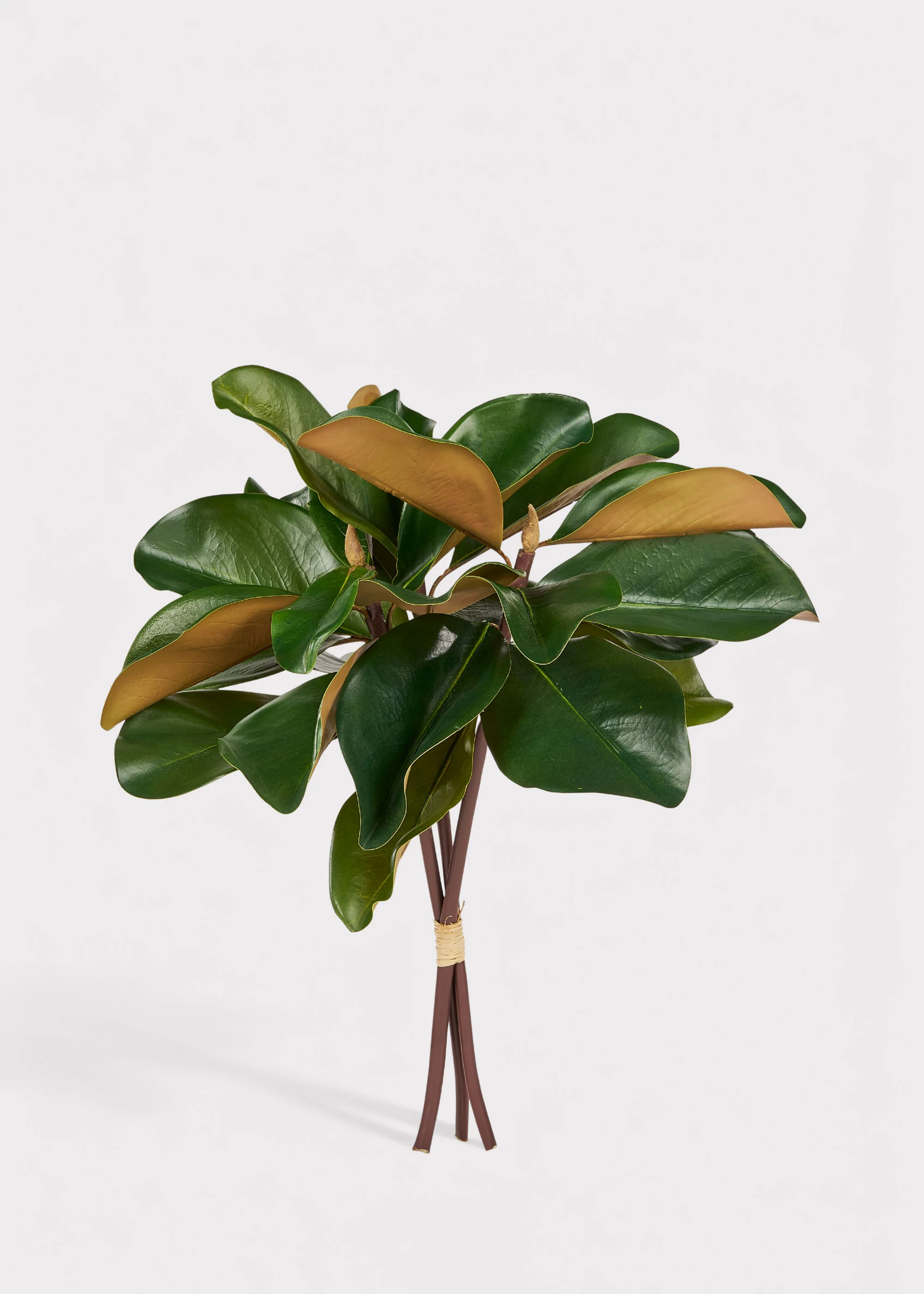 Artificial Magnolia 3-Stem Bundle - 18"