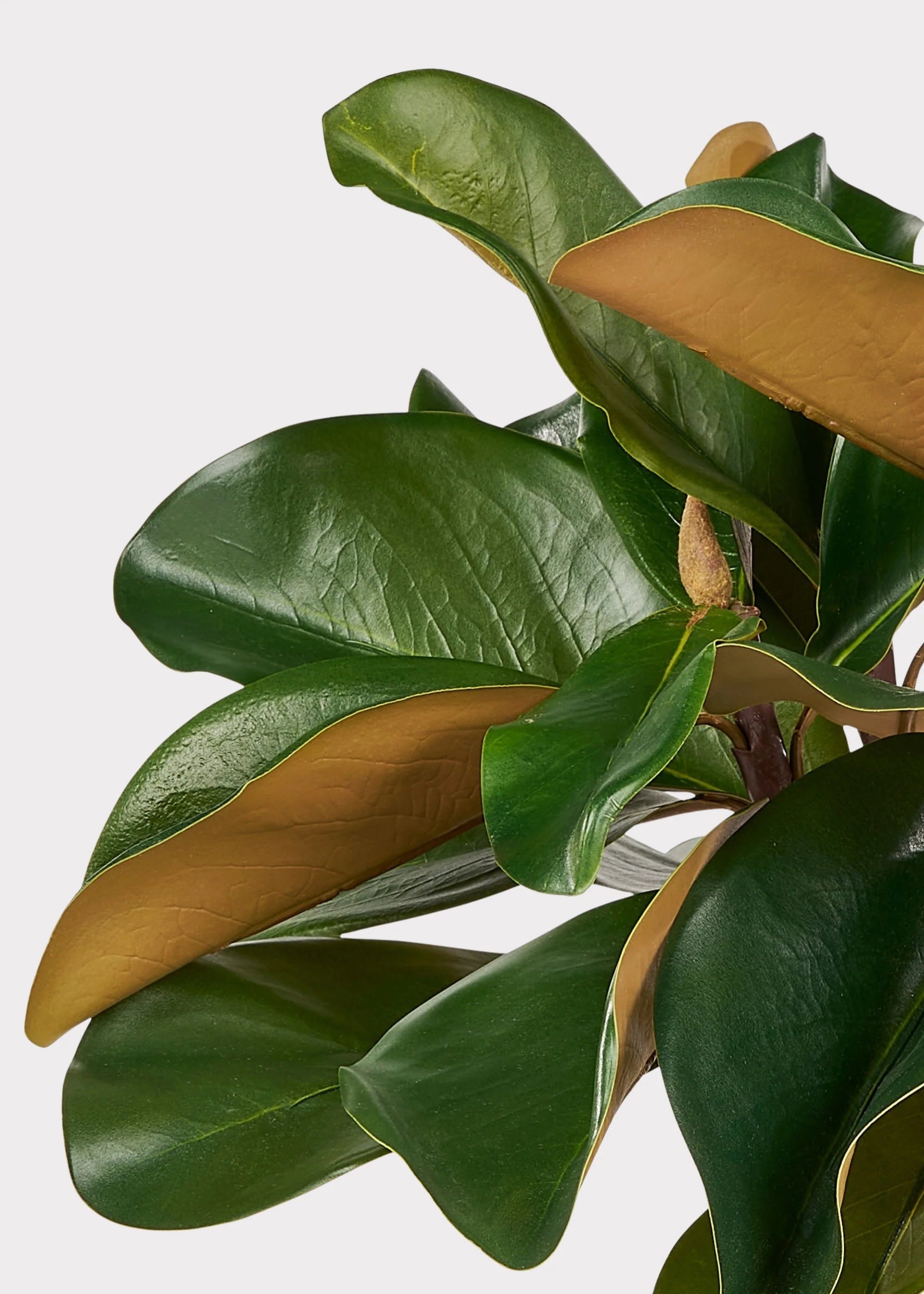Artificial Magnolia 3-Stem Bundle - 18" - Image 4