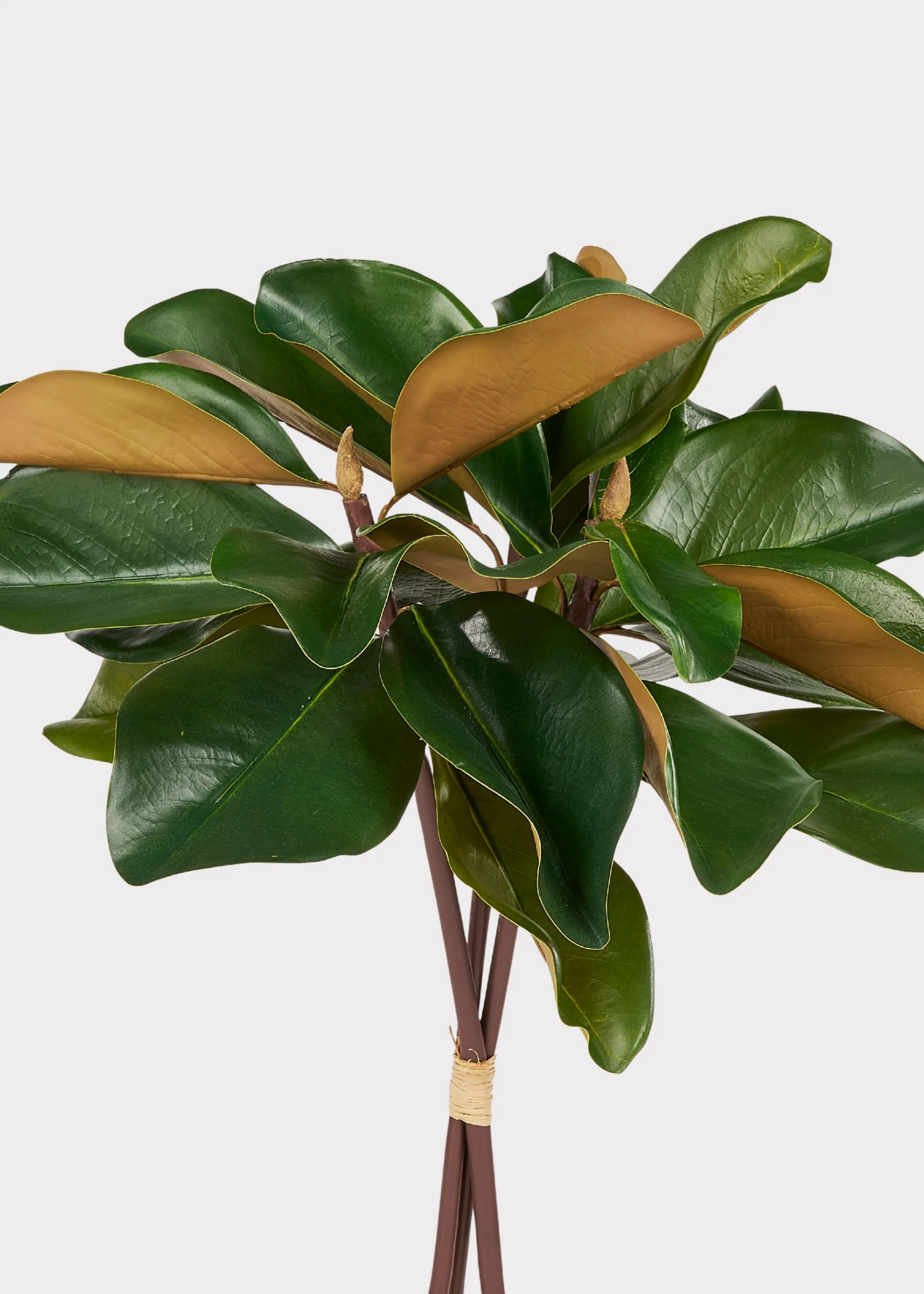 Artificial Magnolia 3-Stem Bundle - 18" - Image 5