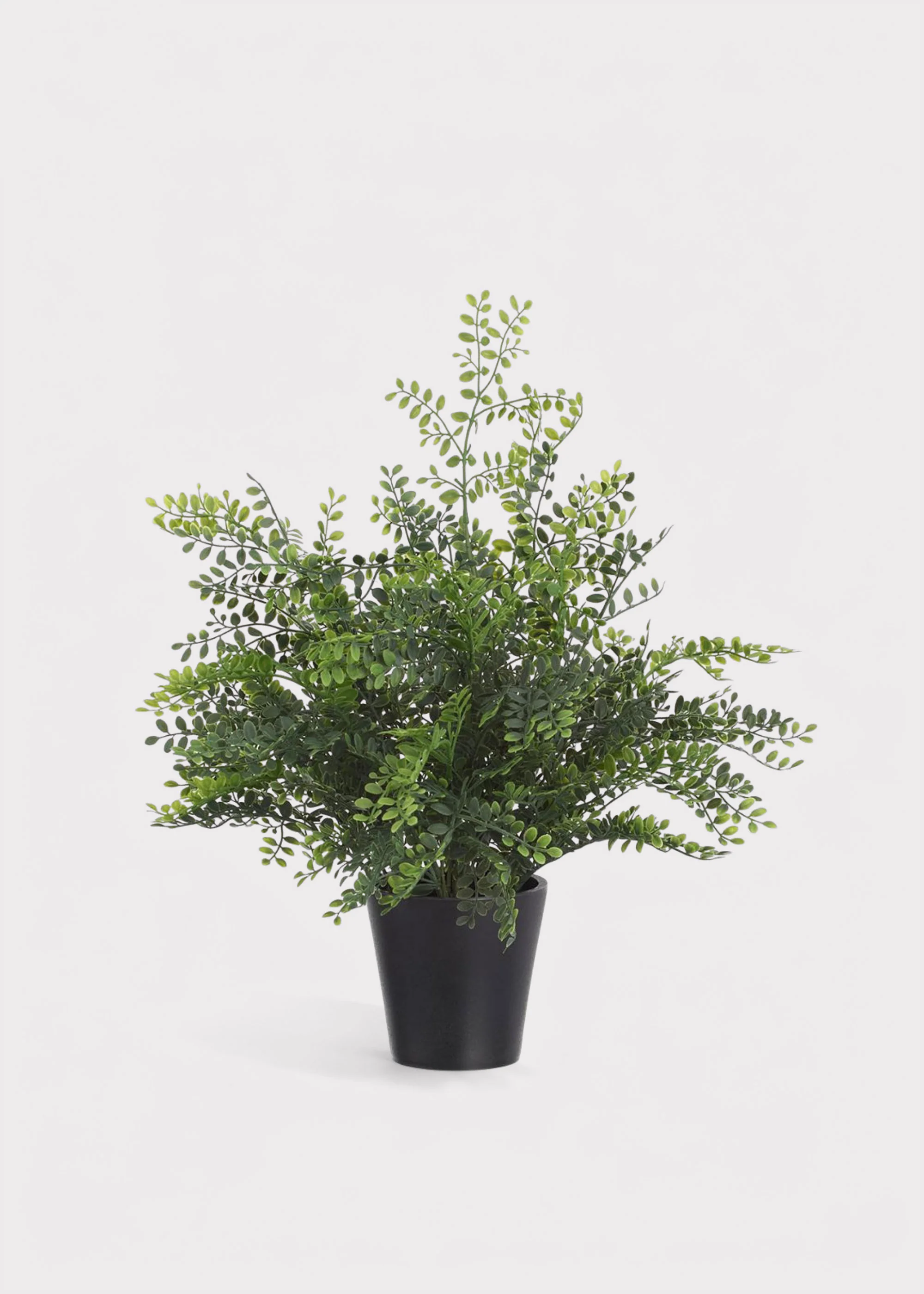 Artificial Maidenhair Fern Potted Plant - 16.5"