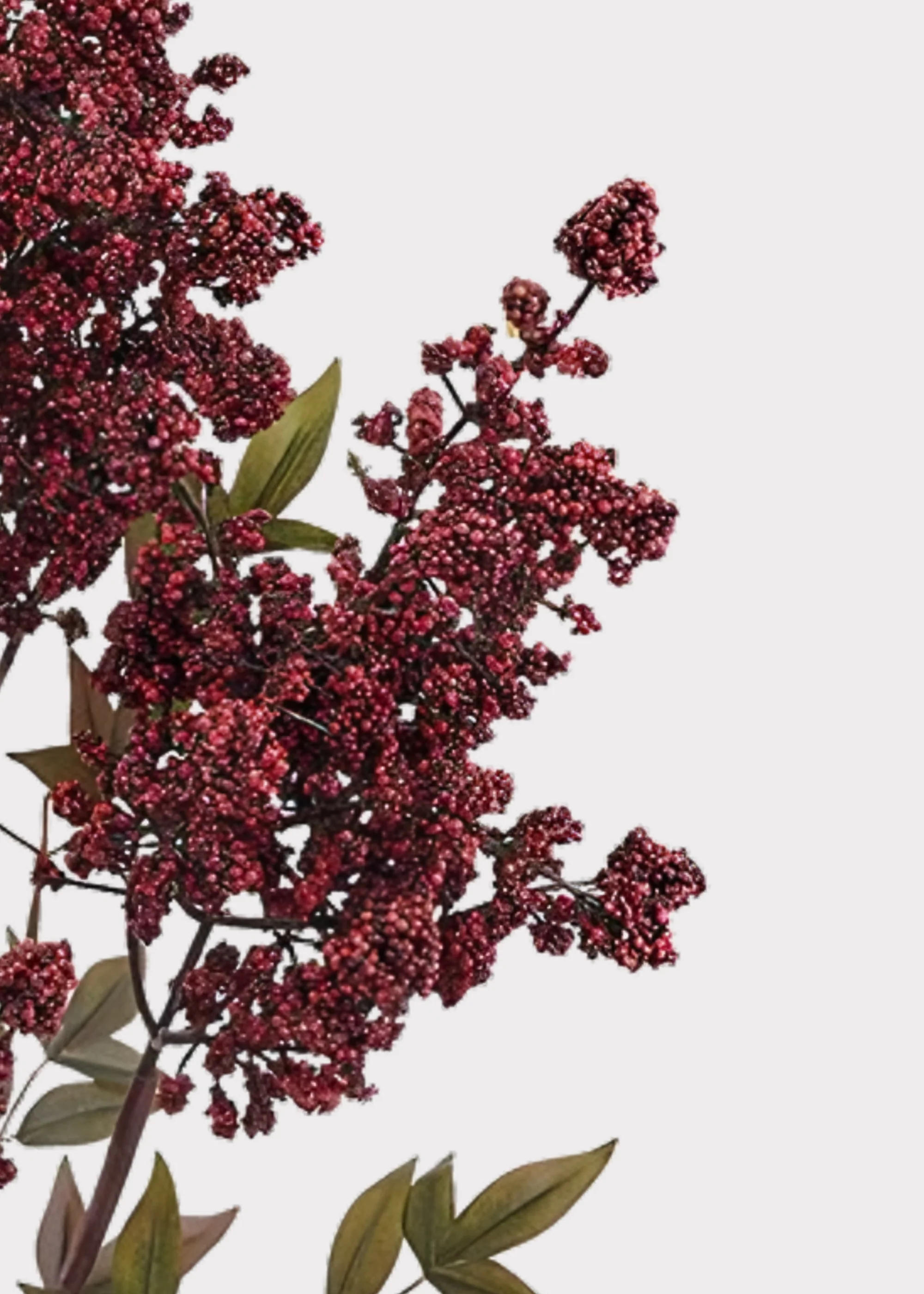 Artificial Nandina Berry Branch in Burgundy - 47" - Image 4