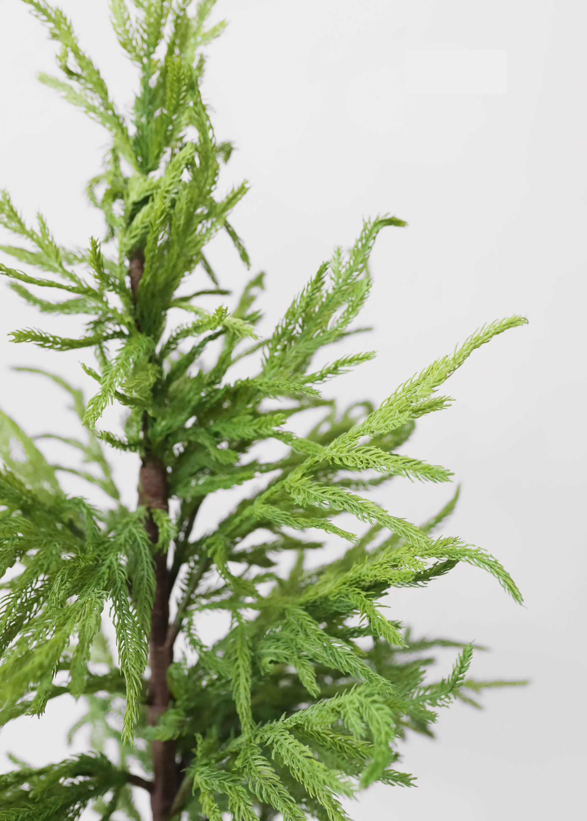 Afloral™ Artificial Norfolk Pine Tree - 36" - Image 5