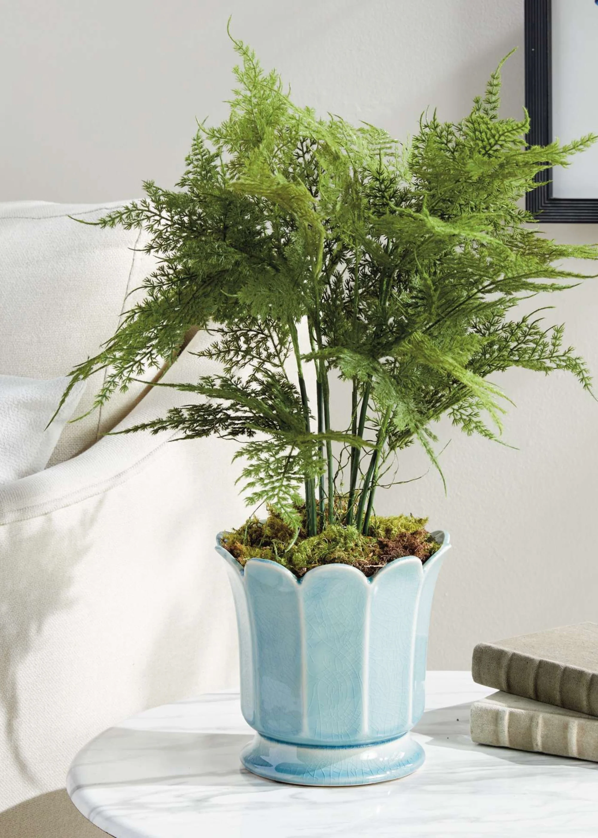 Artificial Plumosus Fern Potted Plant - 21" - Image 2