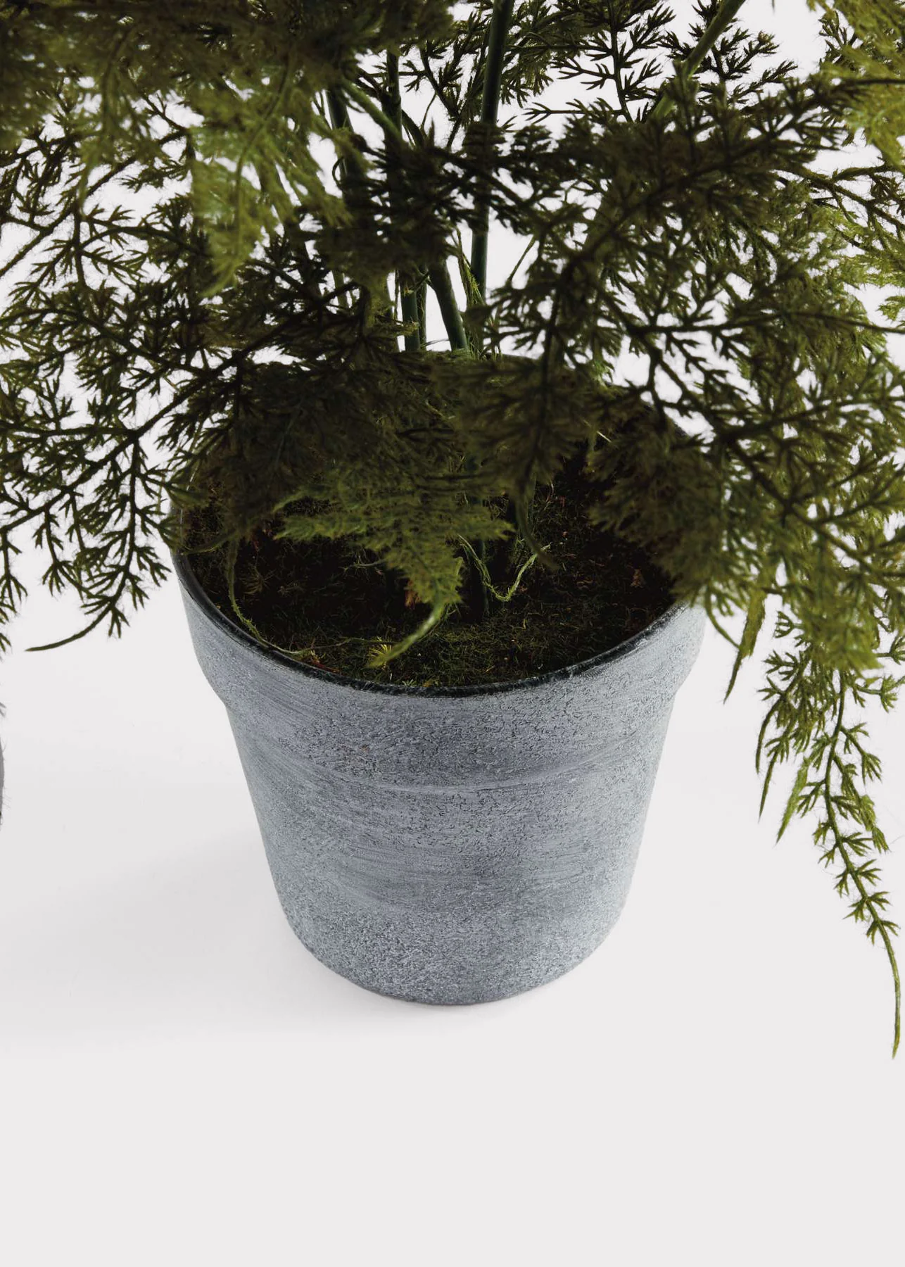 Artificial Plumosus Fern Potted Plant - 21" - Image 4