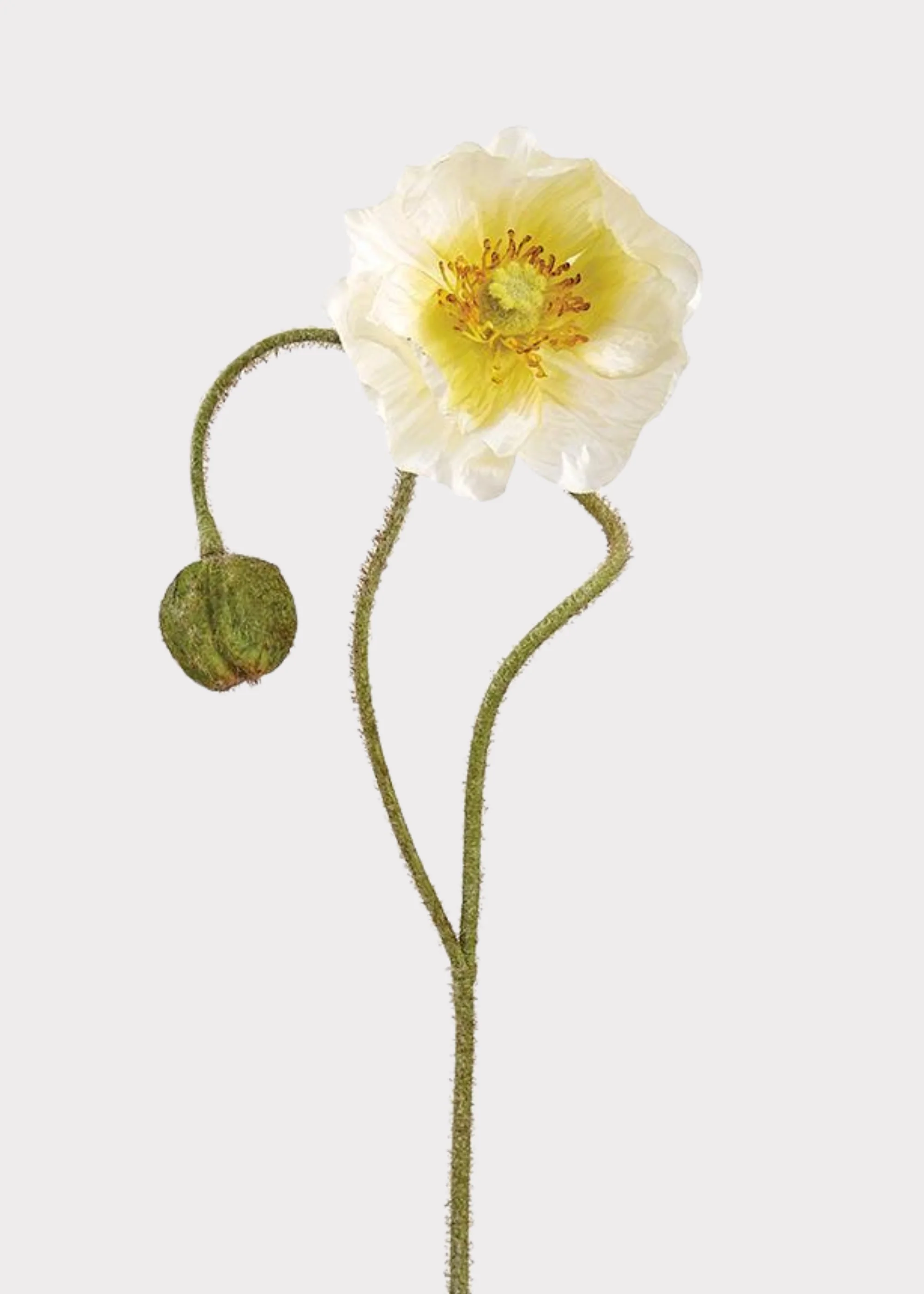 Artificial Poppy Flower Stem in Cream - 31"