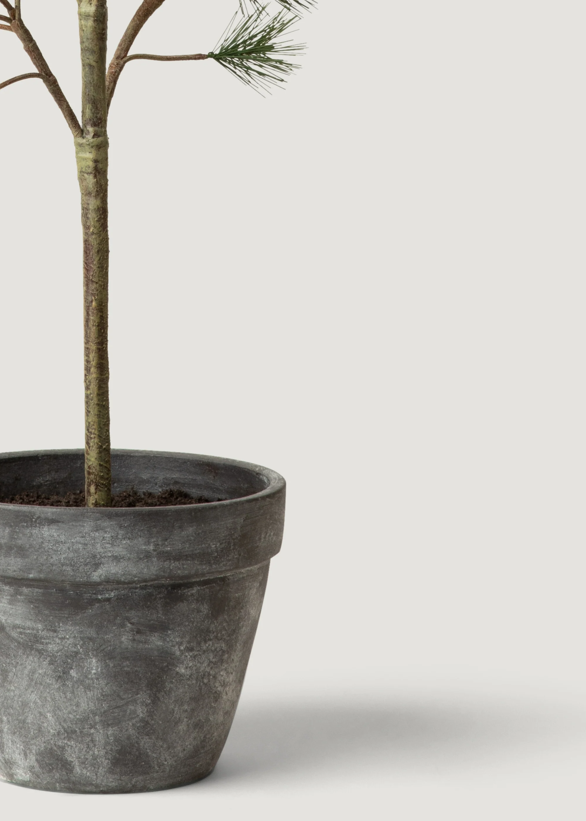 Potted Forest Pine Tree - 44" - Image 3