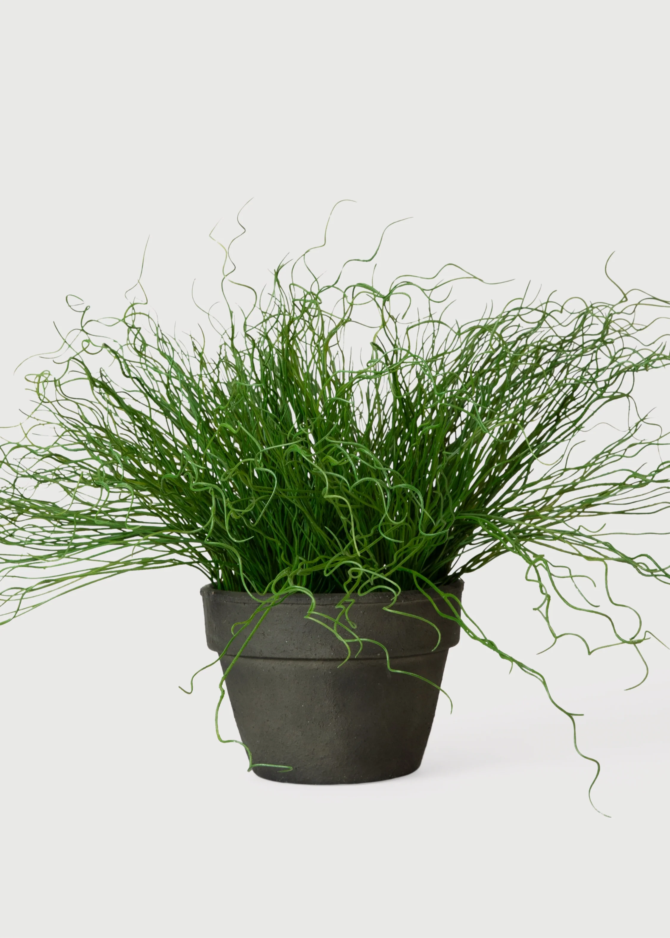 Artificial Potted Pencil Cactus Plant - 18.5" - Image 4