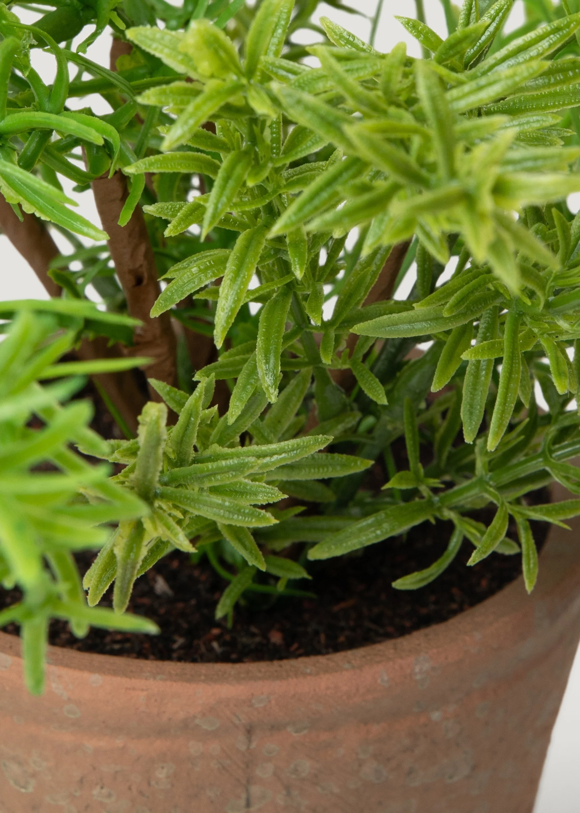 Artificial Potted Rosemary Herb Plant - 16" - Image 4