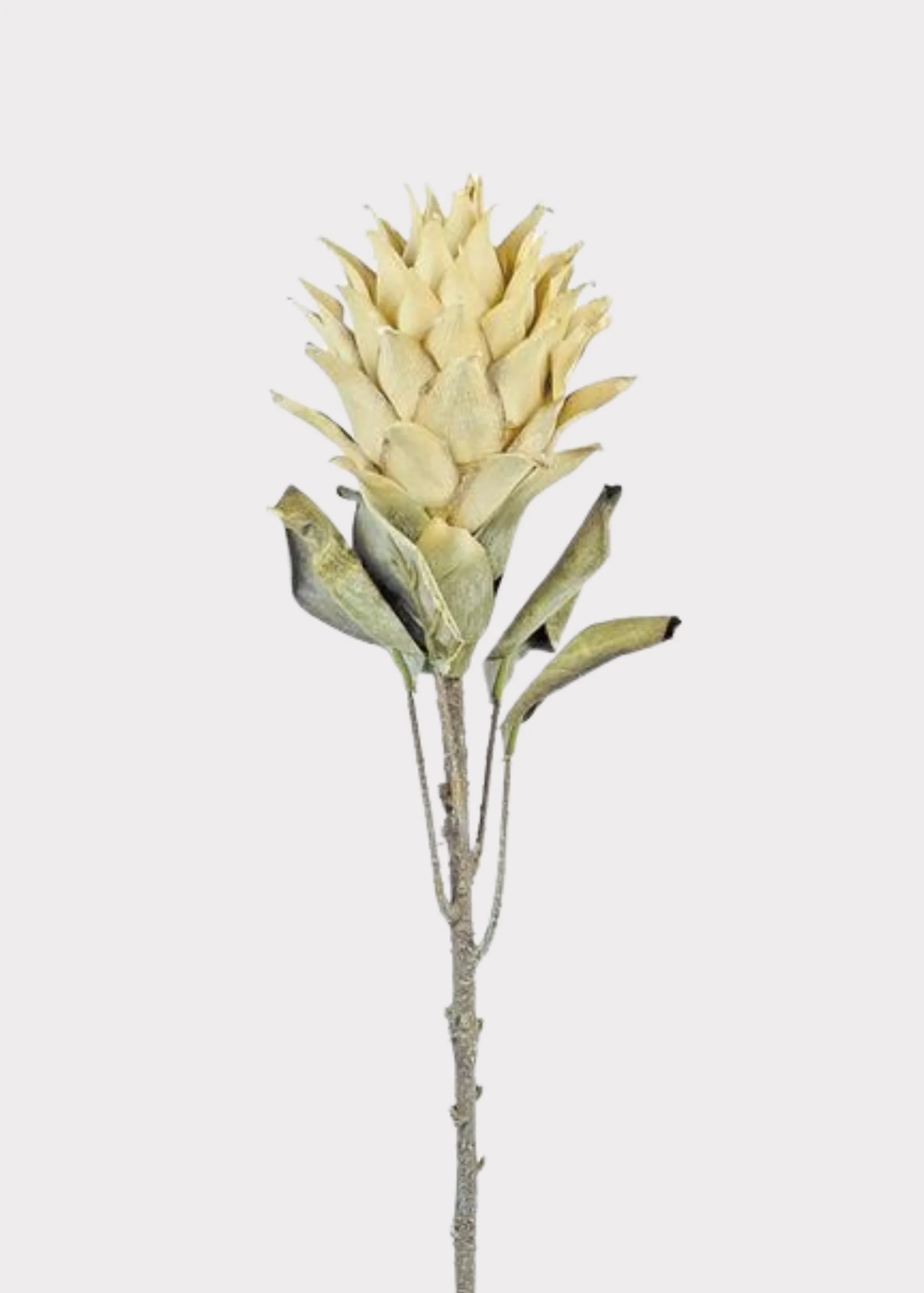 Artificial Protea Tropical Flower Stem in Parchment - 30"