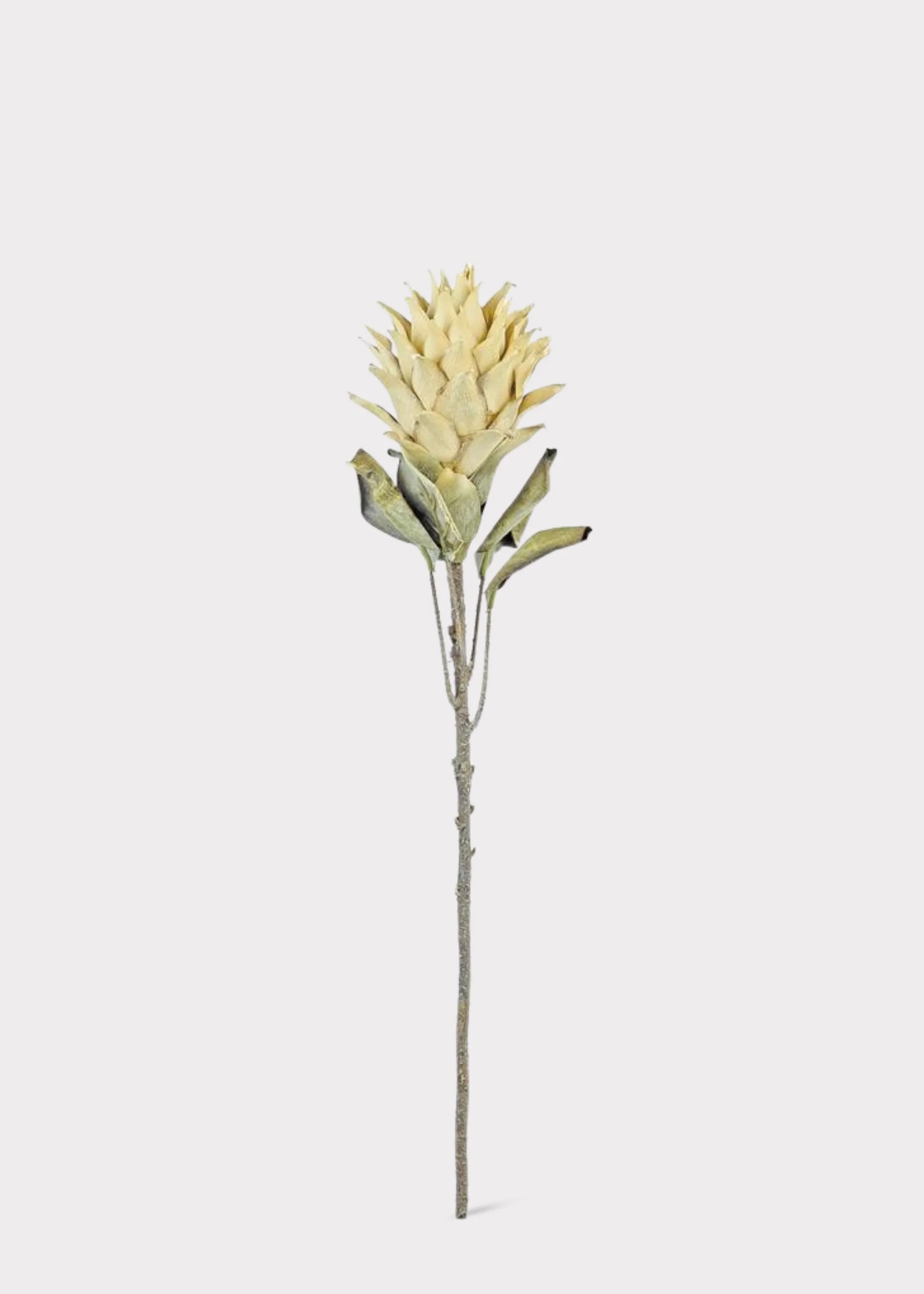 Artificial Protea Tropical Flower Stem in Parchment - 30" - Image 2