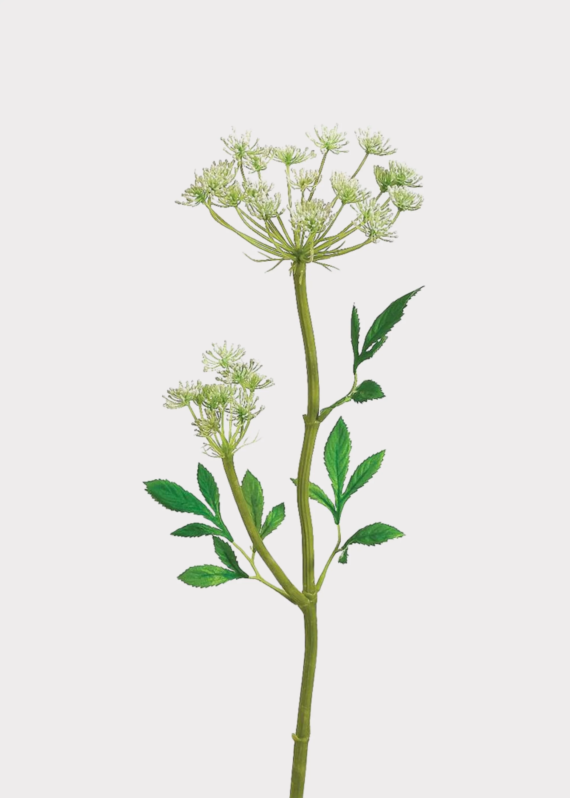 Artificial Queen Anne's Lace Wildflower Stem - 24"
