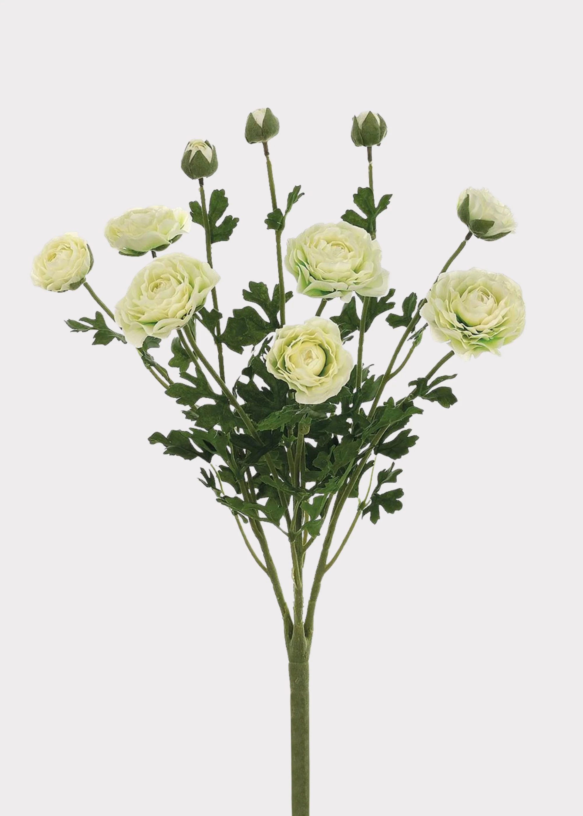 Artificial Ranunculus Flower Bush in Cream - 19"