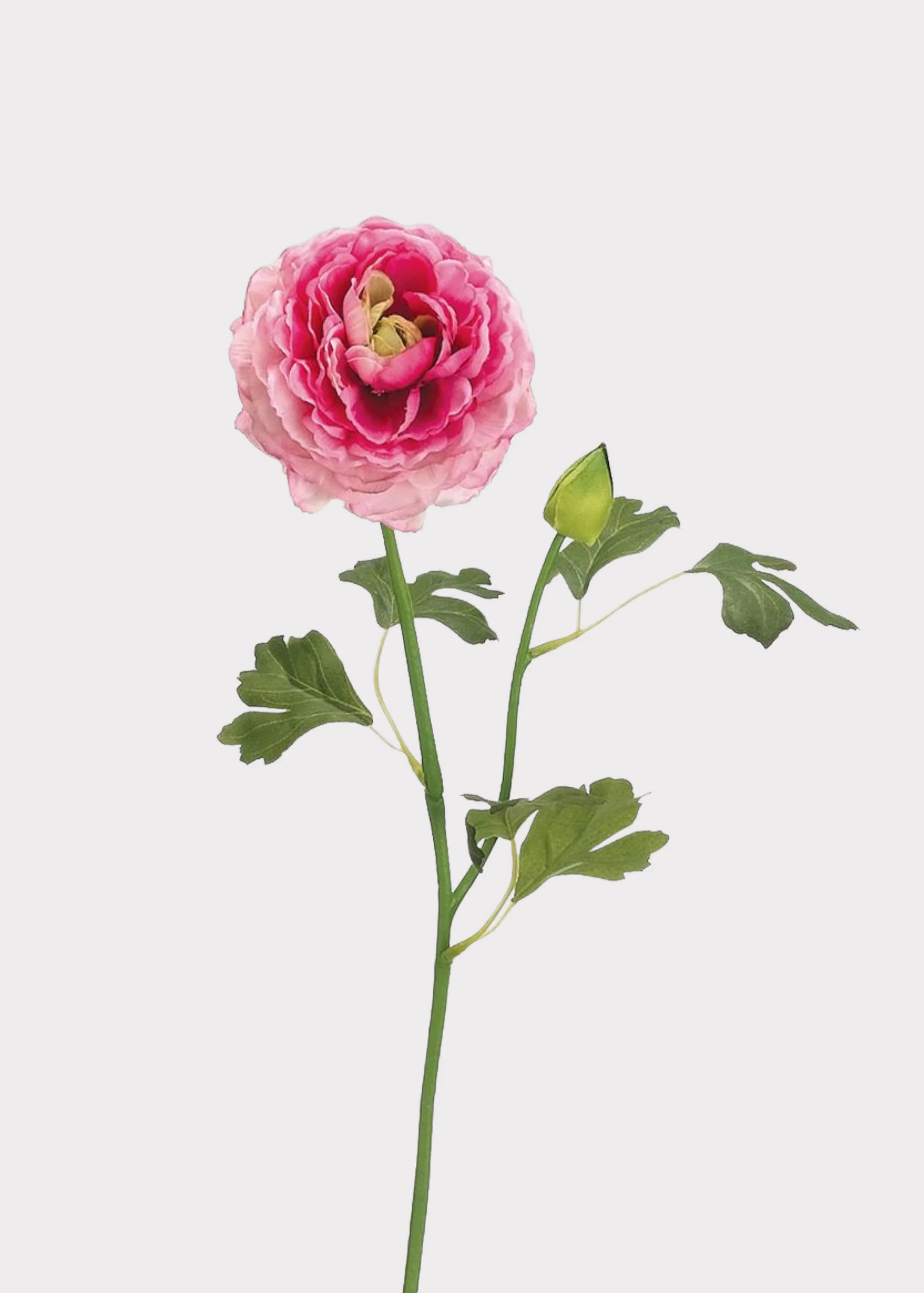 Artificial Ranunculus Flower in Cerise Pink - 19"
