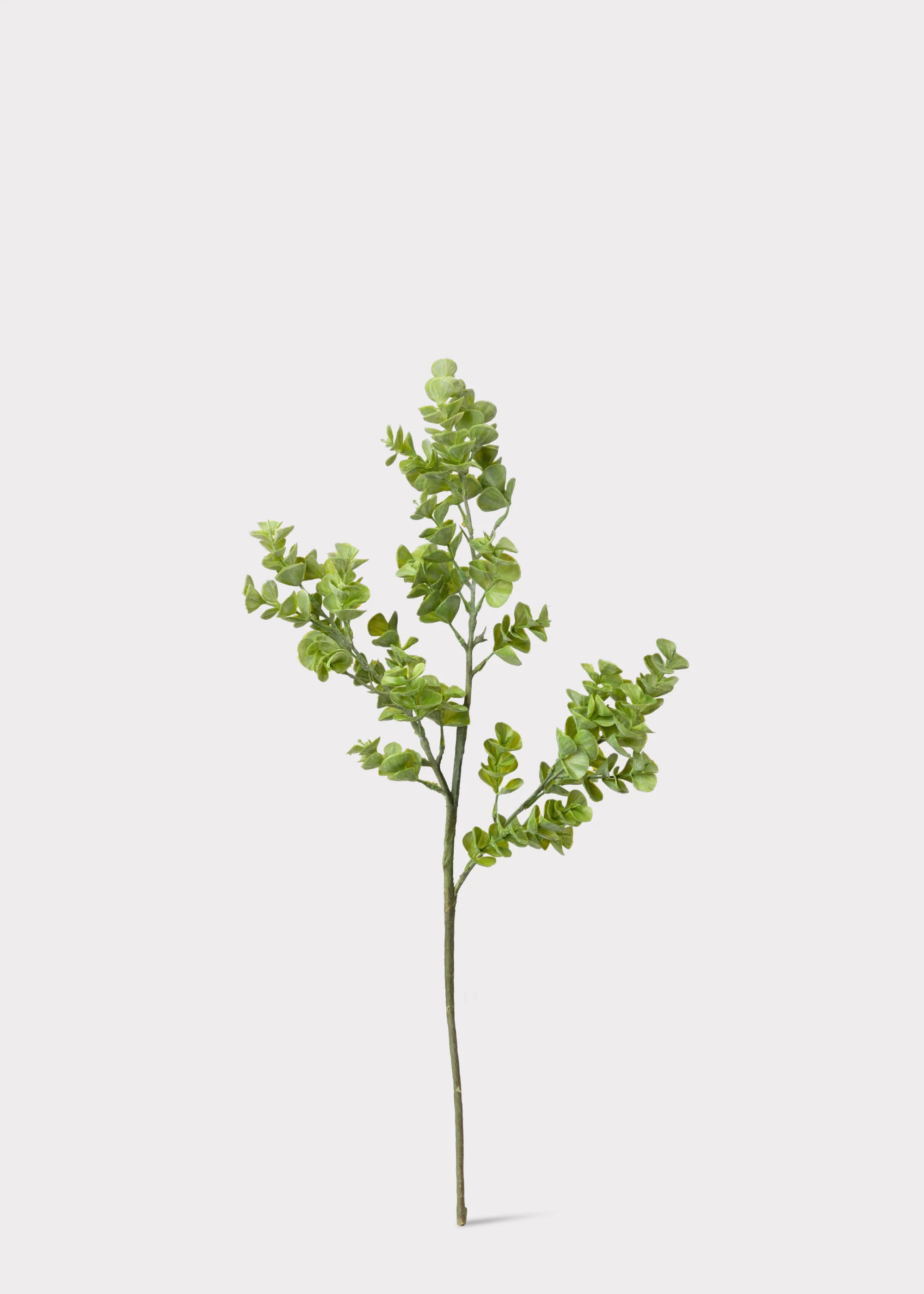 Artificial Real Touch Eucalyptus Leaf Branch - 27" - Image 3