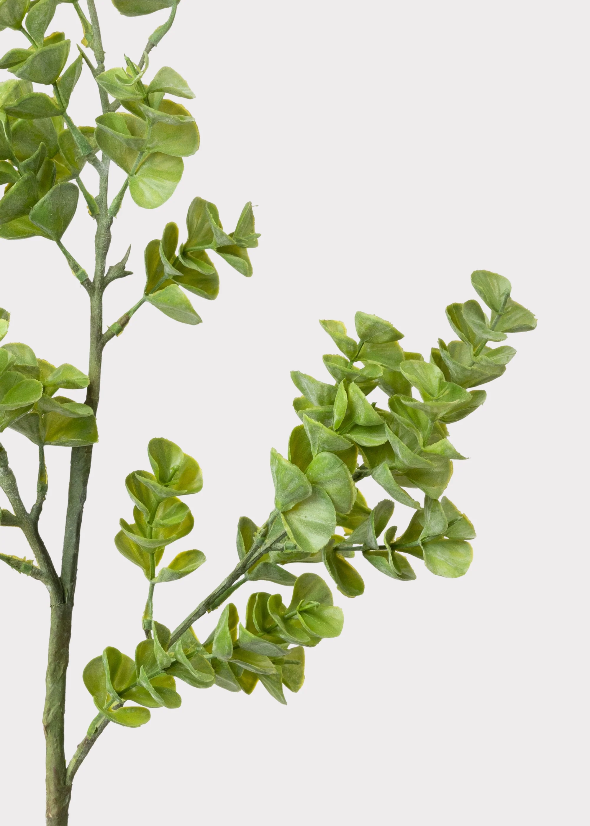 Artificial Real Touch Eucalyptus Leaf Branch - 27" - Image 4